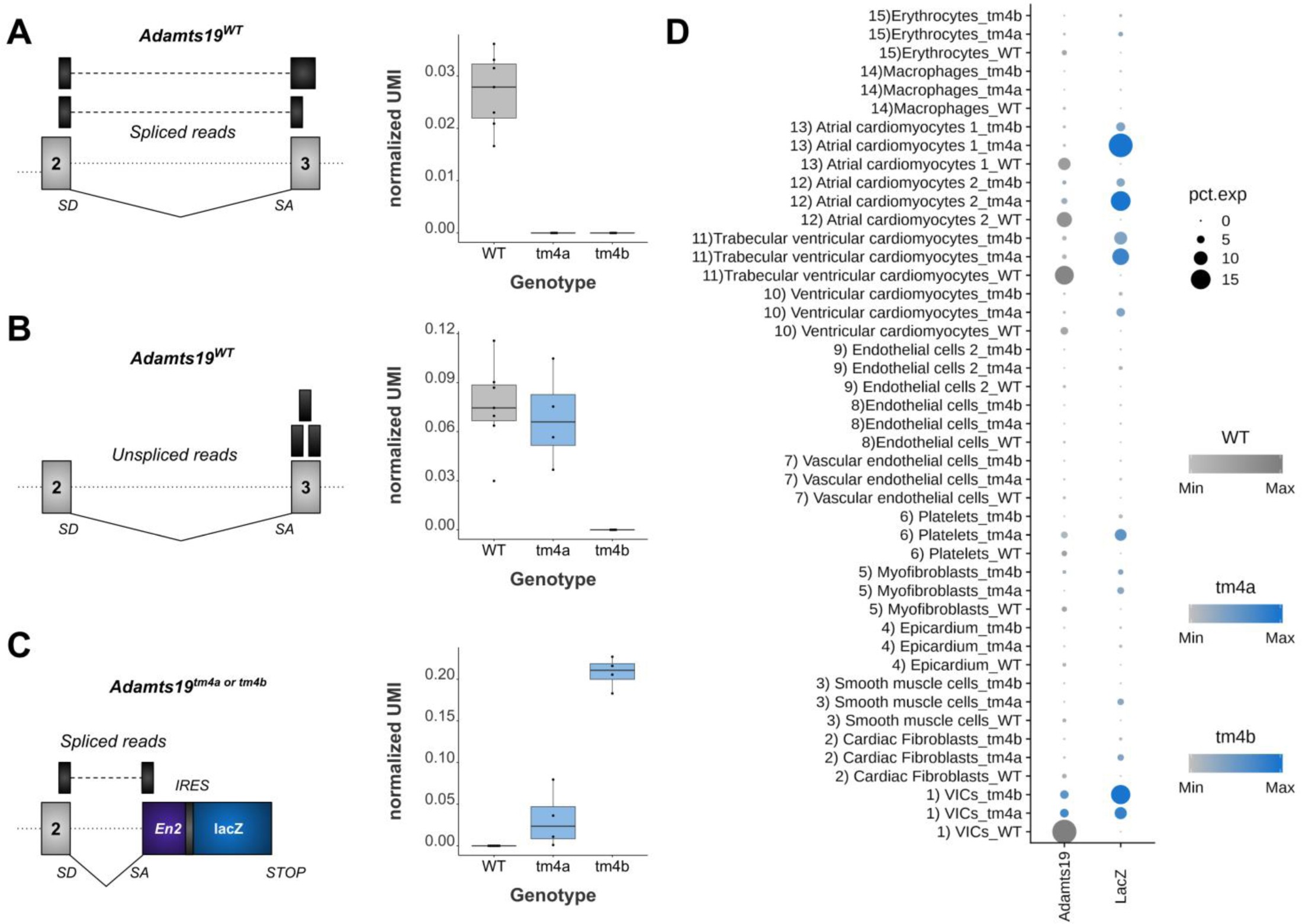 Supplementary Fig. 11