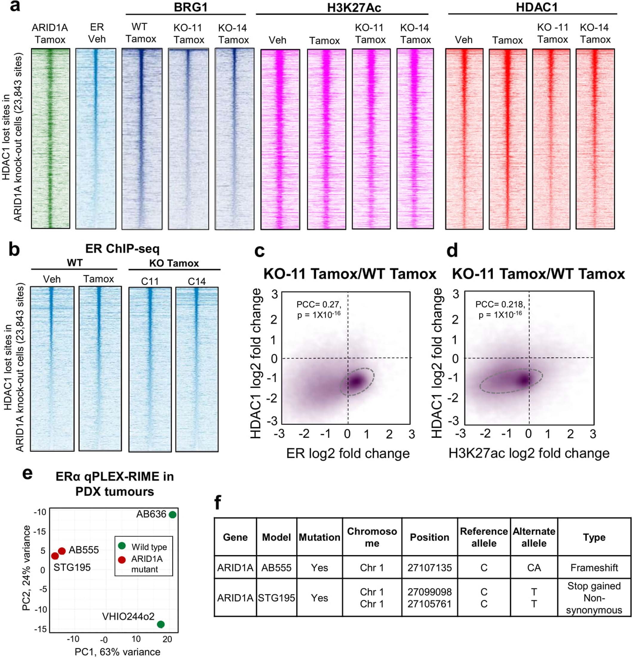Extended Data Fig. 9: ARID1A promotes BRG1 and HDAC1 binding without affecting ER and H3K27ac occupancy.
