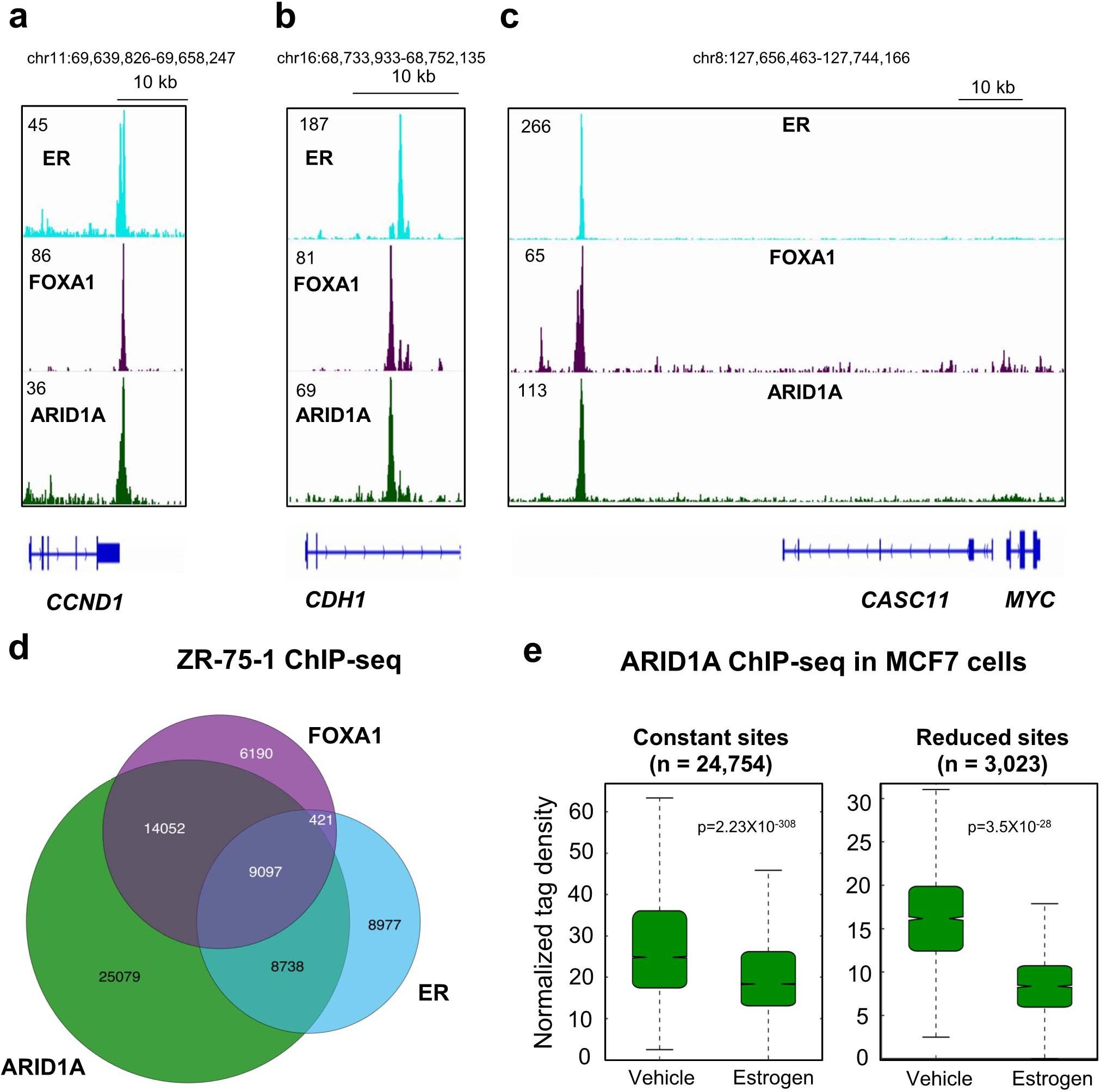Extended Data Fig. 2: ARID1A co-binds ER and FOXA1-bound regulatory elements, but is depleted with estrogen treatment.