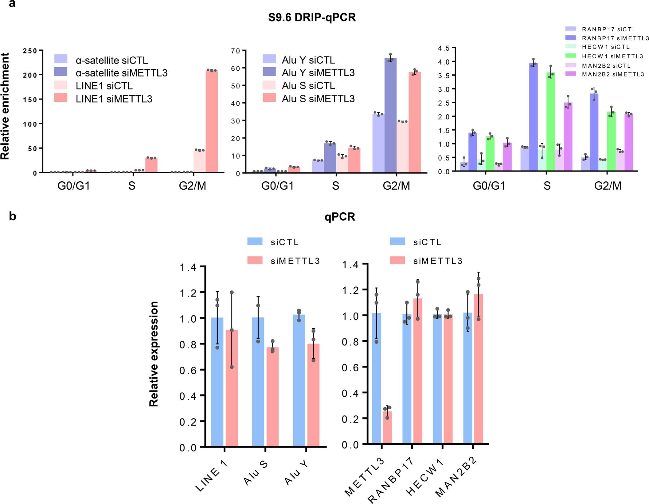 Extended Data Fig. 7: METTL3 depletion leads to accumulation of RNA:DNA hybrids in hPSCs.