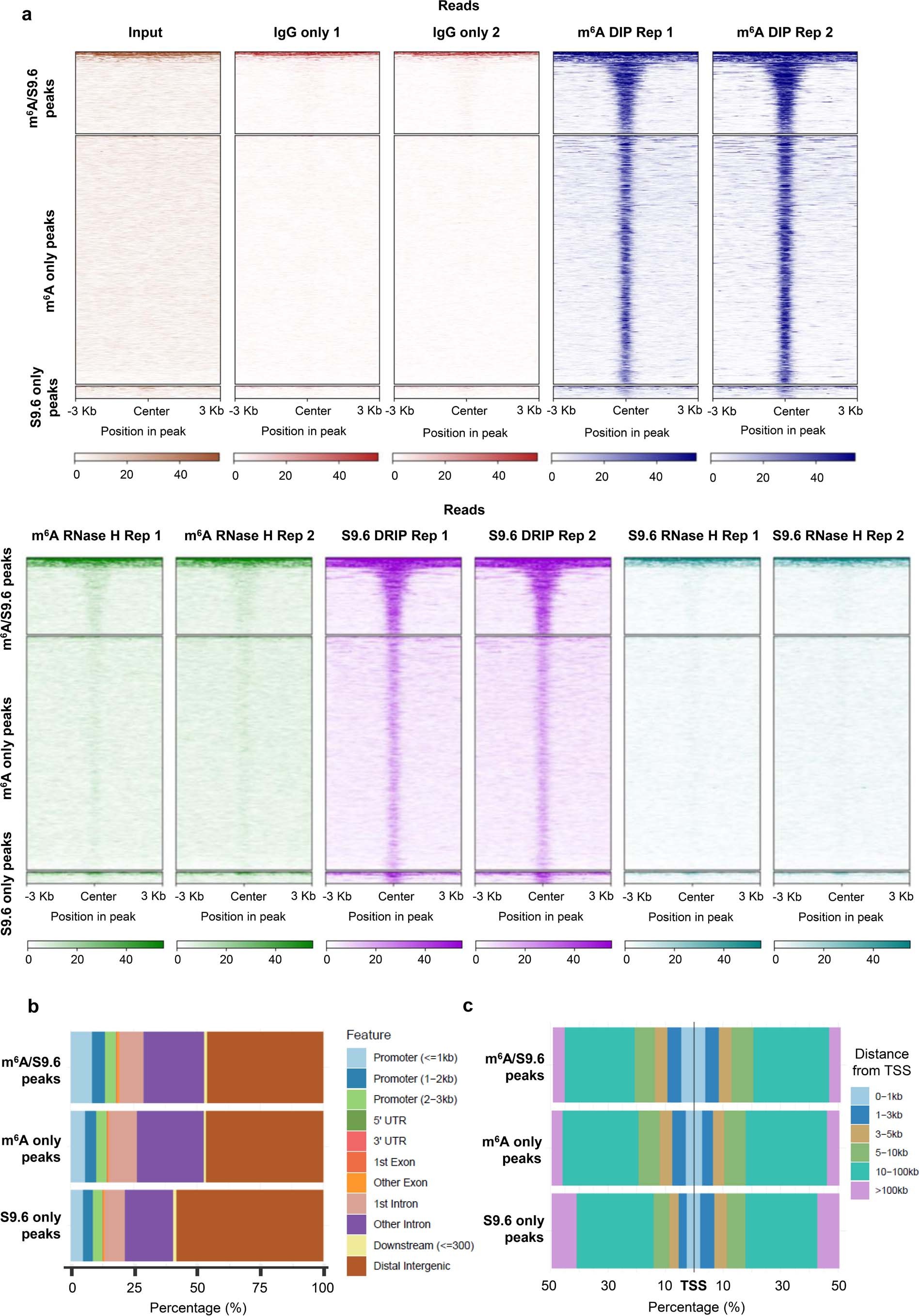 Extended Data Fig. 3