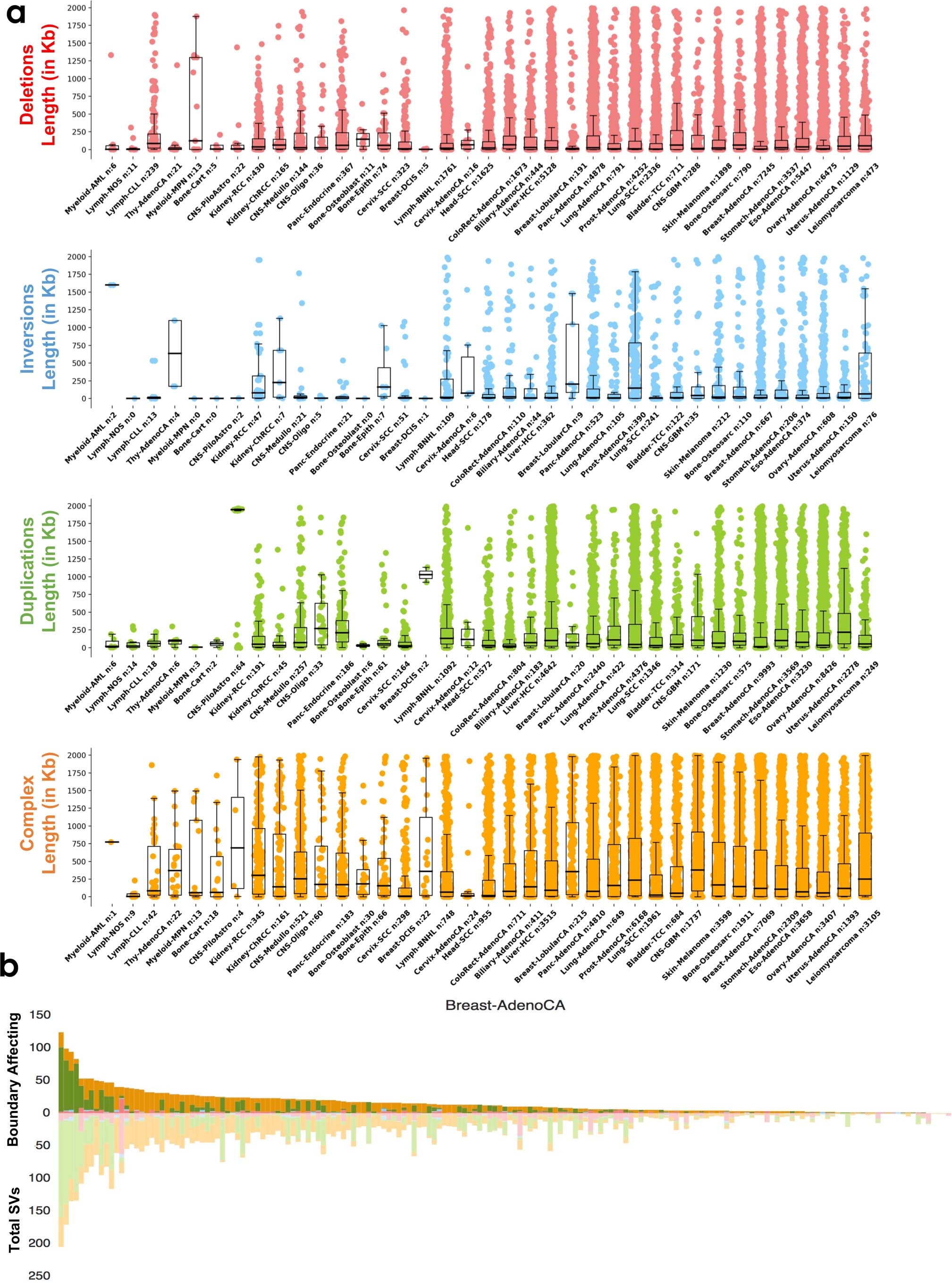 Extended Data Fig. 3: Histology-specific features of boundary-affecting structural variations.