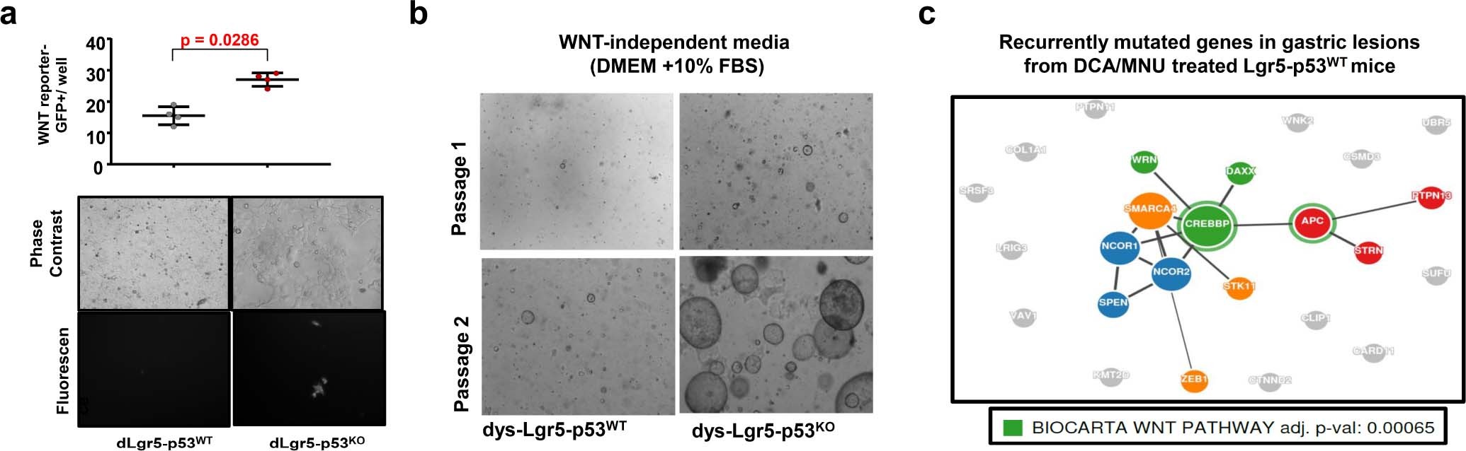Extended Data Fig. 7