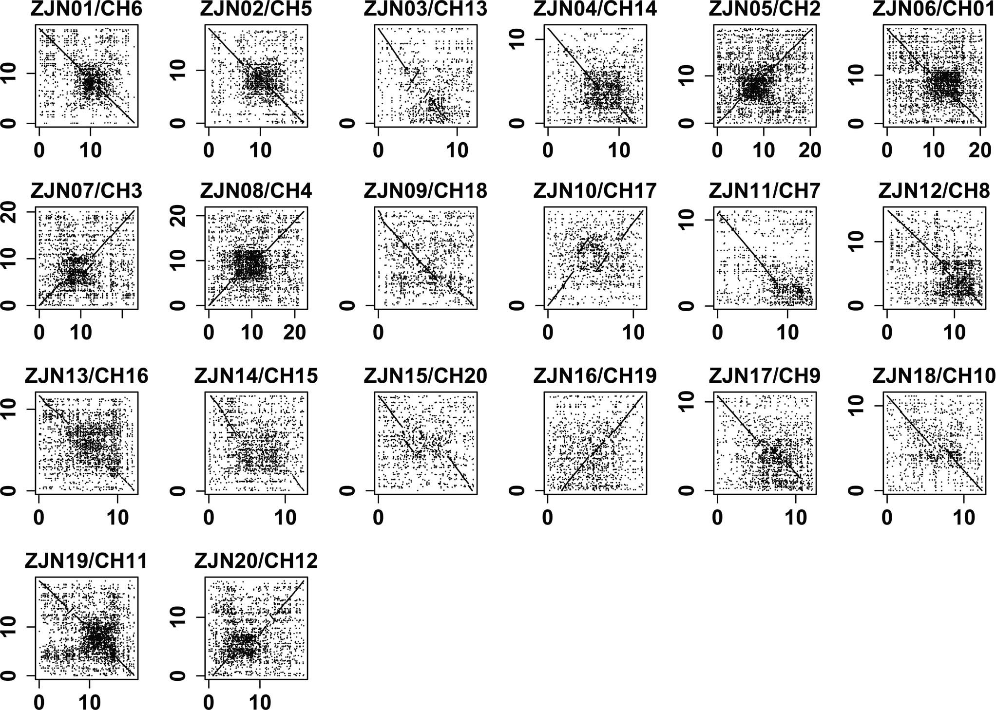Extended Data Fig. 6: Collinear plots between the pseudomolecules of Zoysia japonica accession Yaji and Nagirizaki.