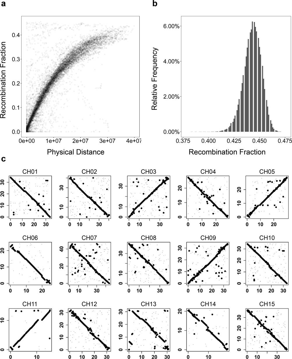 Extended Data Fig. 1: Pseudomolecule construction for 20× tetraploid simulated GBS data.