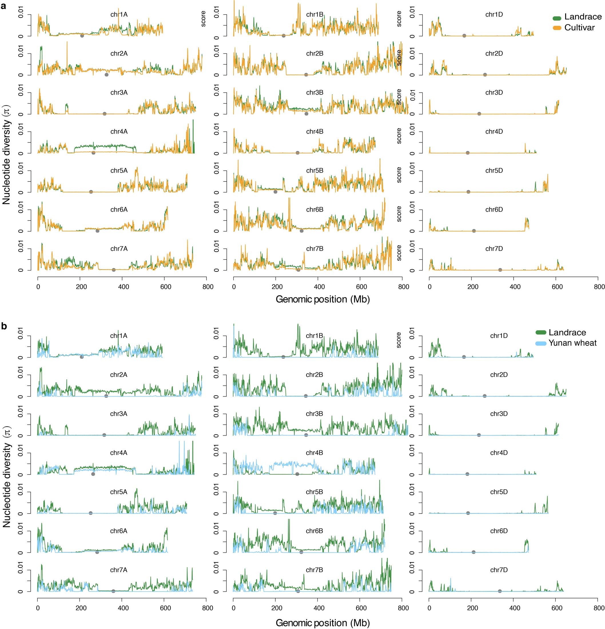 Extended Data Fig. 4: Comparison of nucleotide diversity of wheats across the genome.