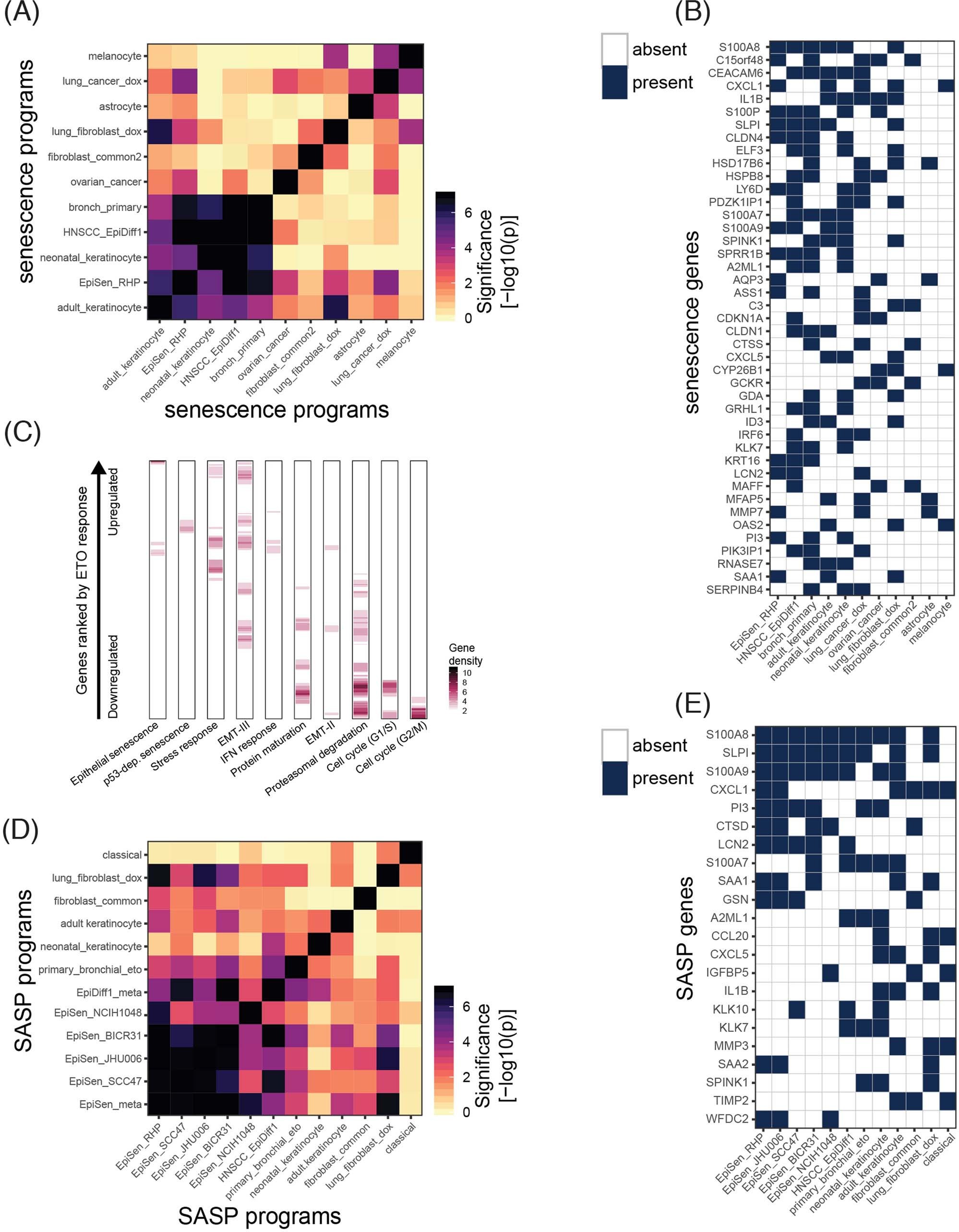 Extended Data Fig 6: Similarities and differences between senescence-related expression programs.