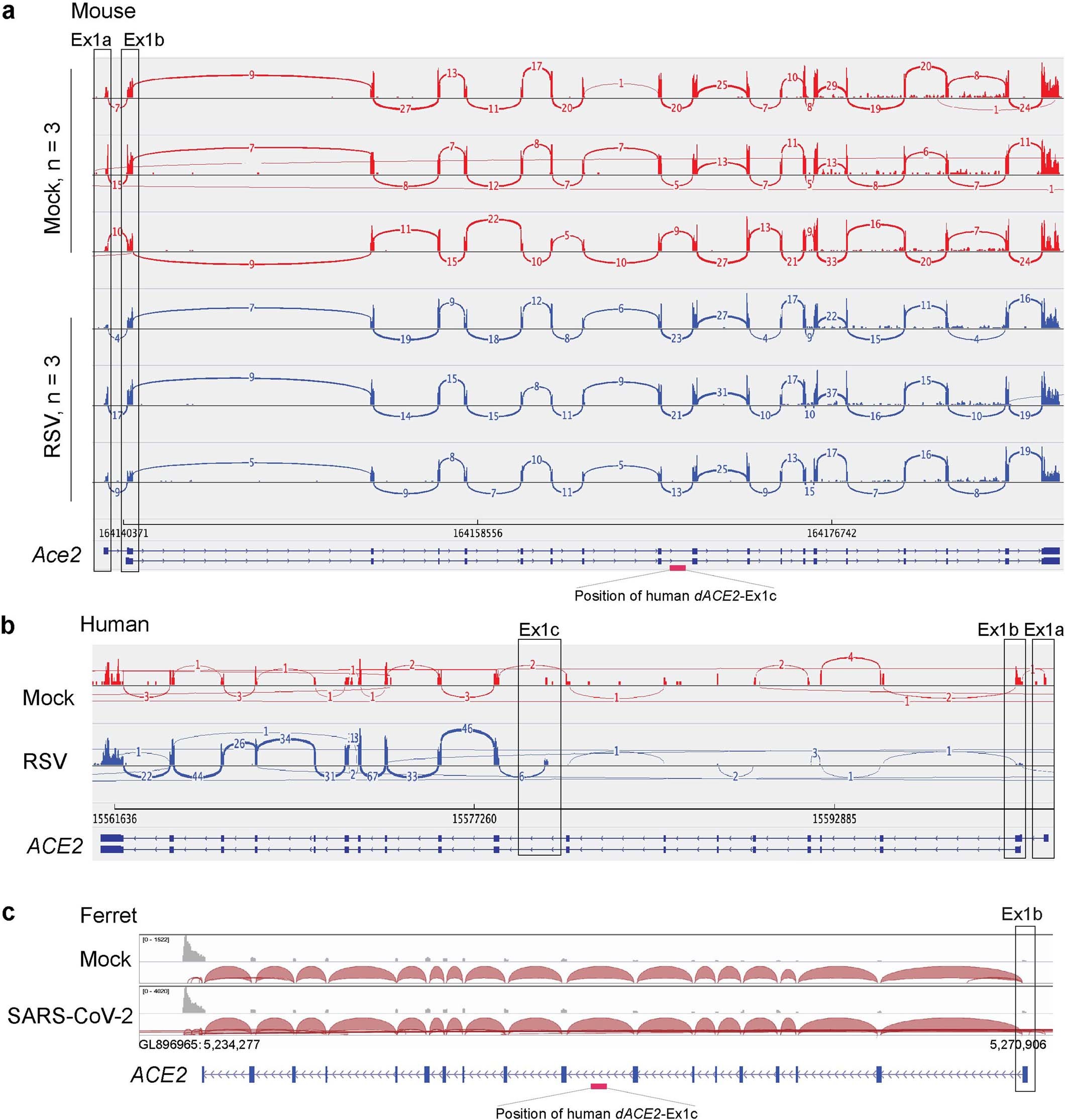 Extended Data Fig. 1