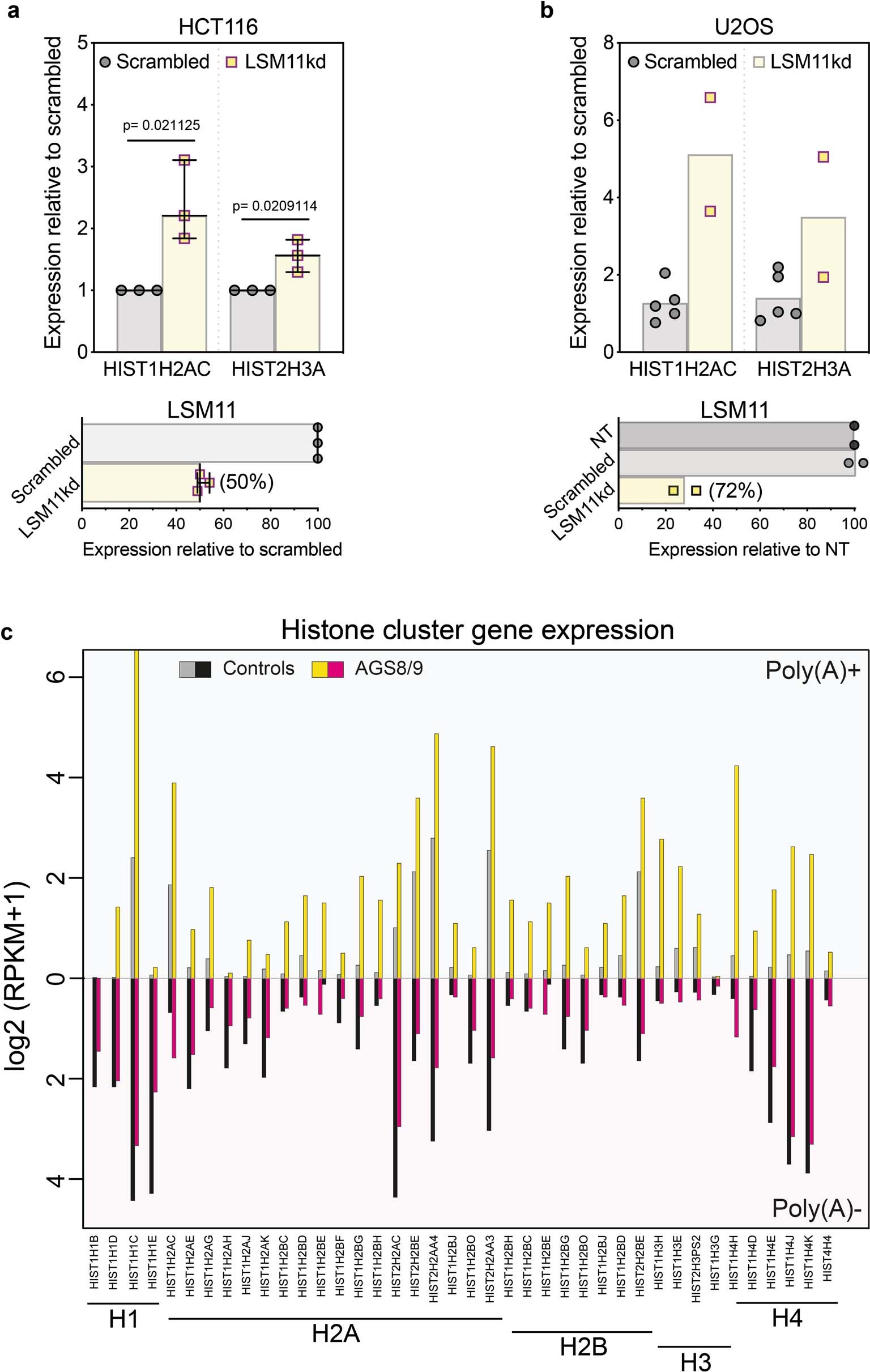 Extended Data Fig. 2: LSM11 knockdown and RDH pre-mRNA expression in fibroblasts.