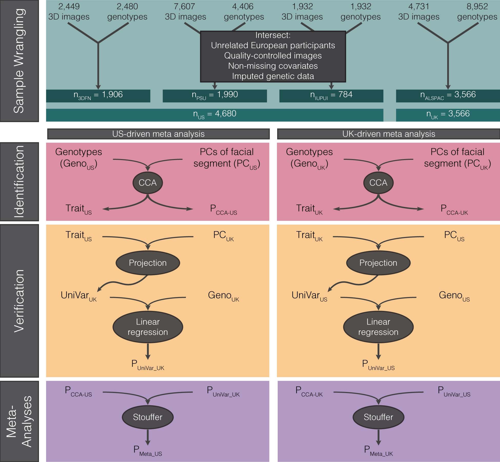Extended Data Fig. 2: Study design.