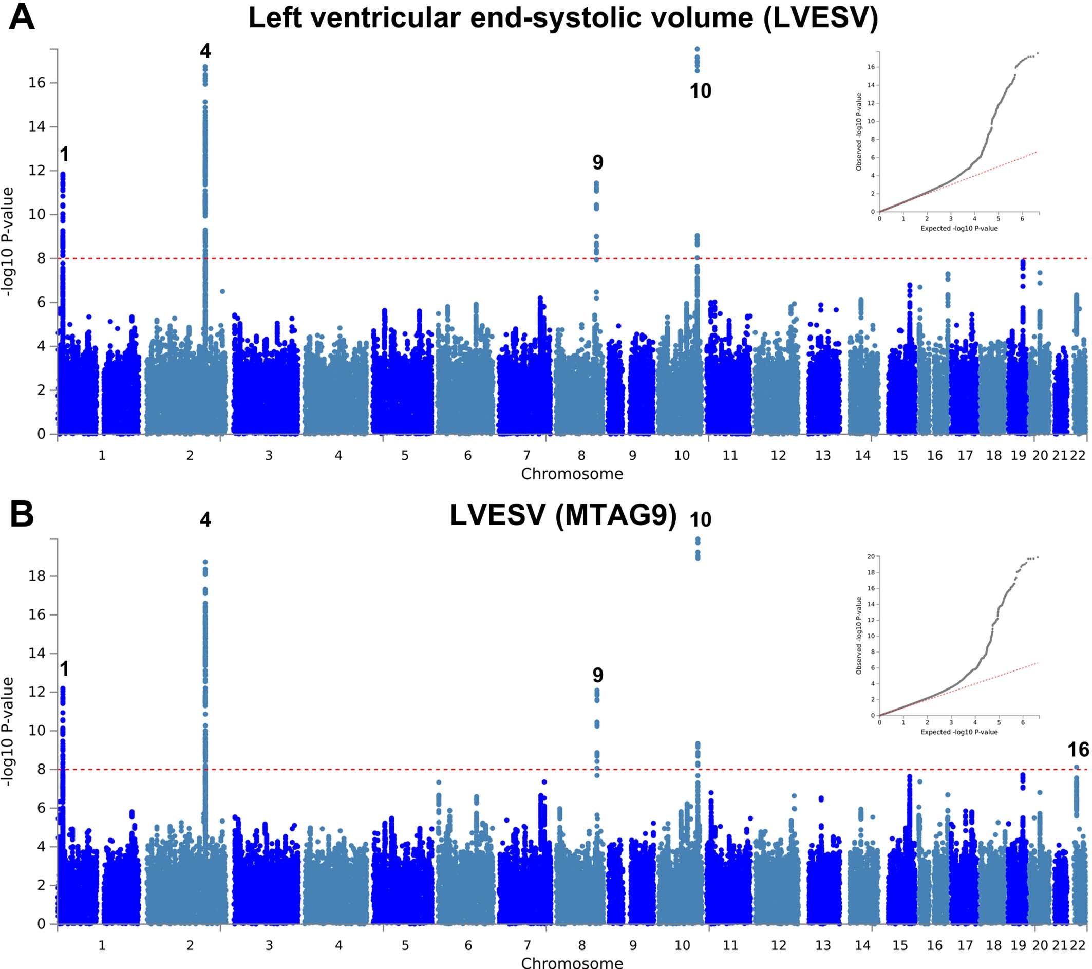 Extended Data Fig. 6: Manhattan and QQ plots of LV end-systolic volume GWAS and MTAG.