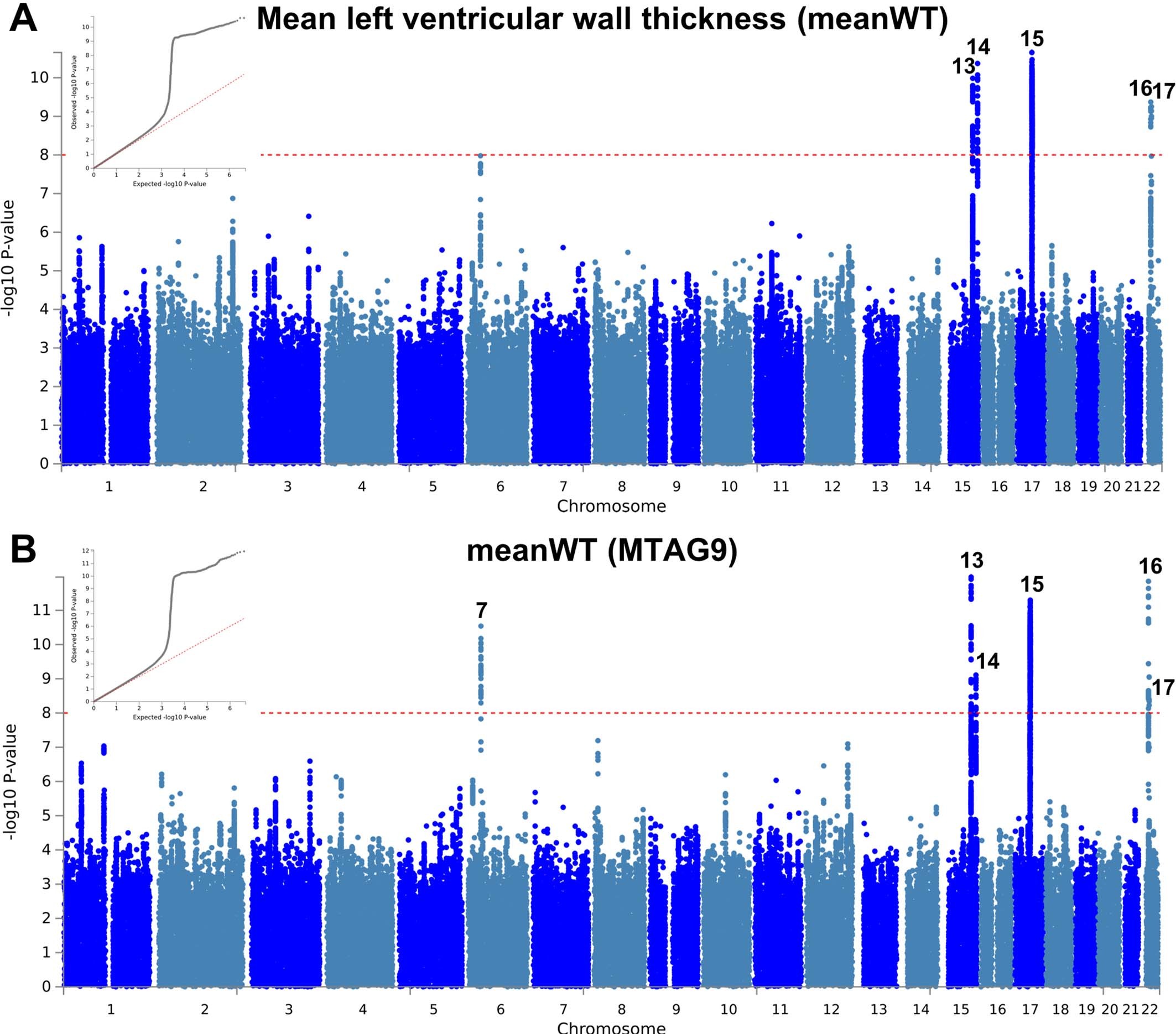Extended Data Fig. 10: Manhattan and QQ plots of LV mean wall thickness GWAS and MTAG.