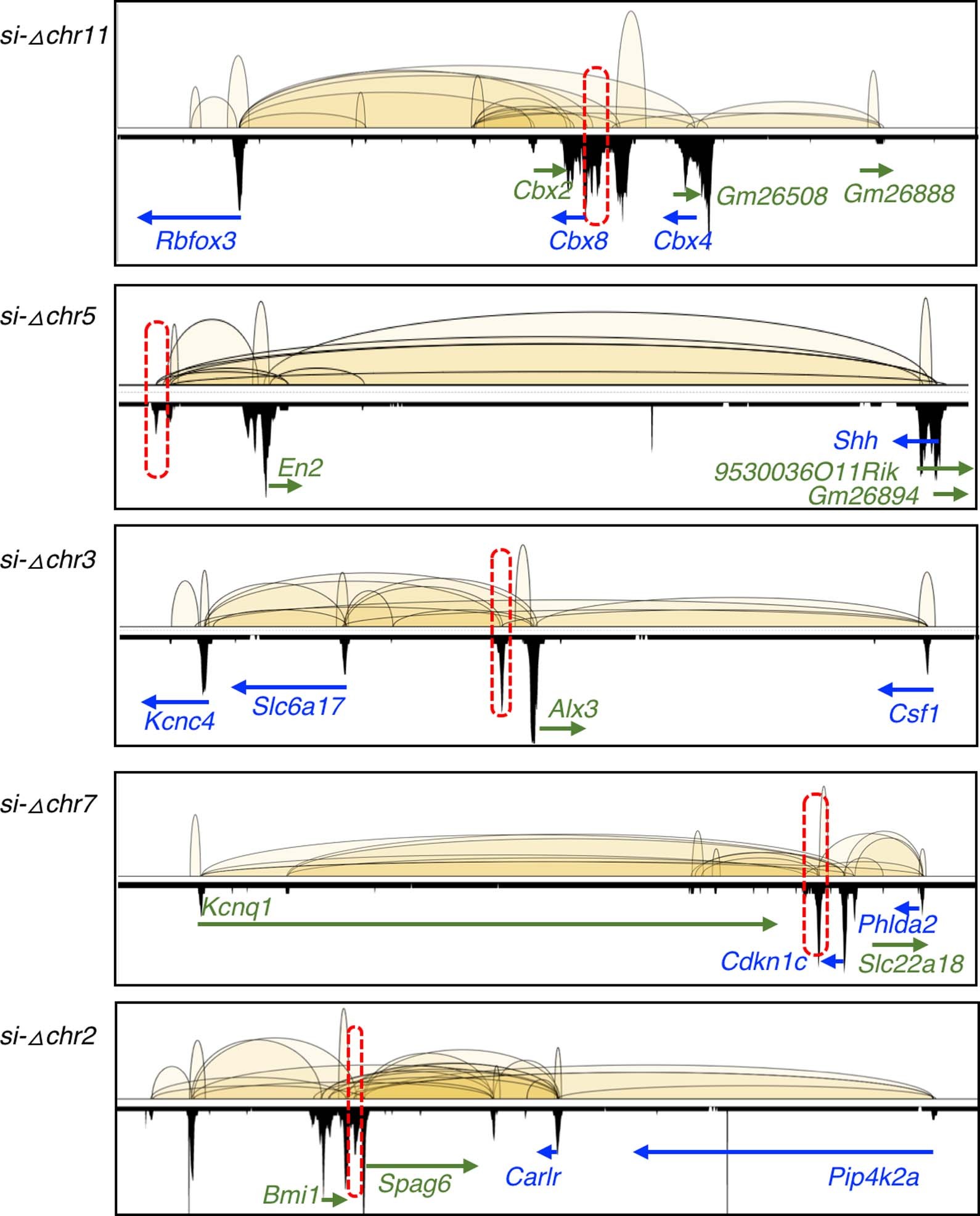 Extended Data Fig. 4: Intergenic anchors deleted in the mouse KO strains by CRISPR-Cas9.