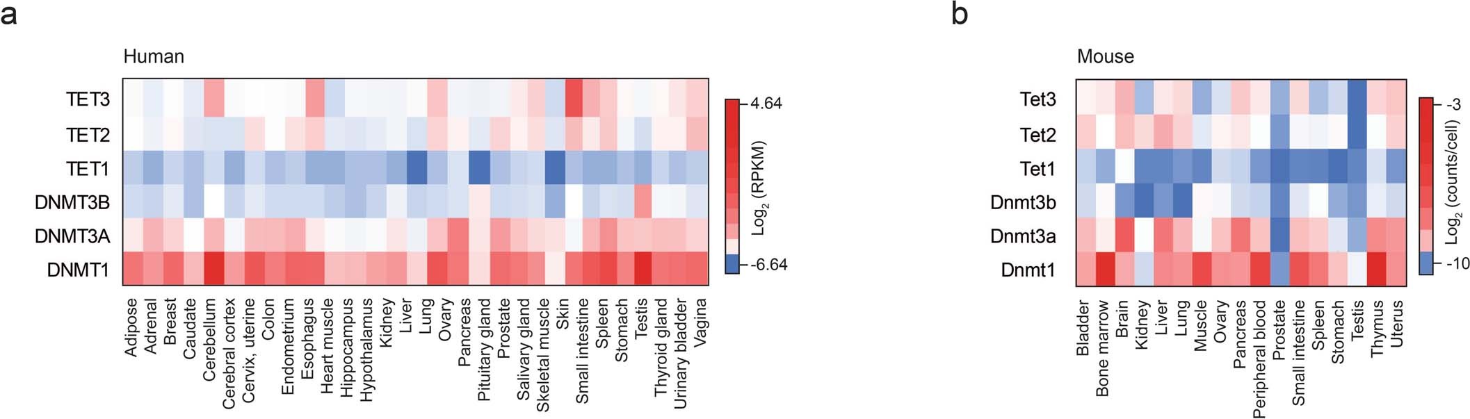 Extended Data Fig. 7