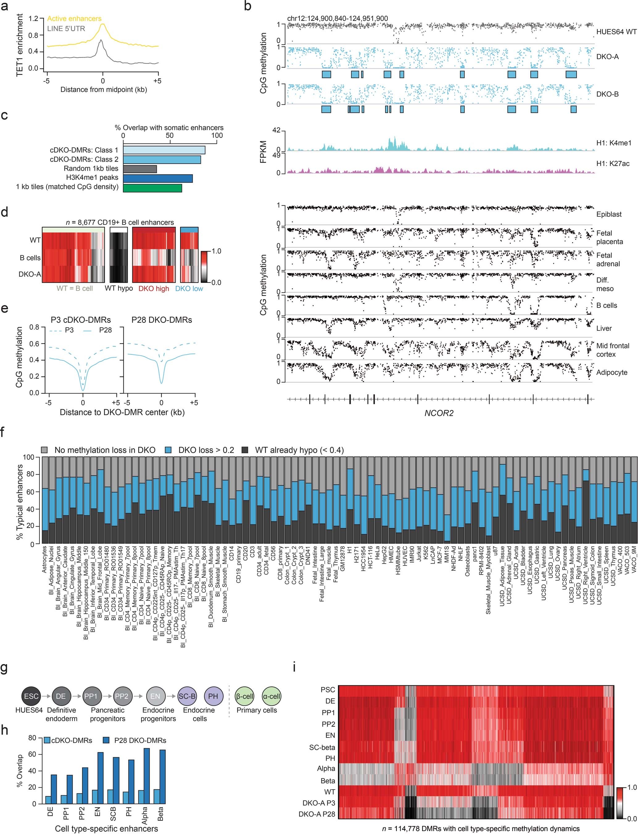 Extended Data Fig. 4