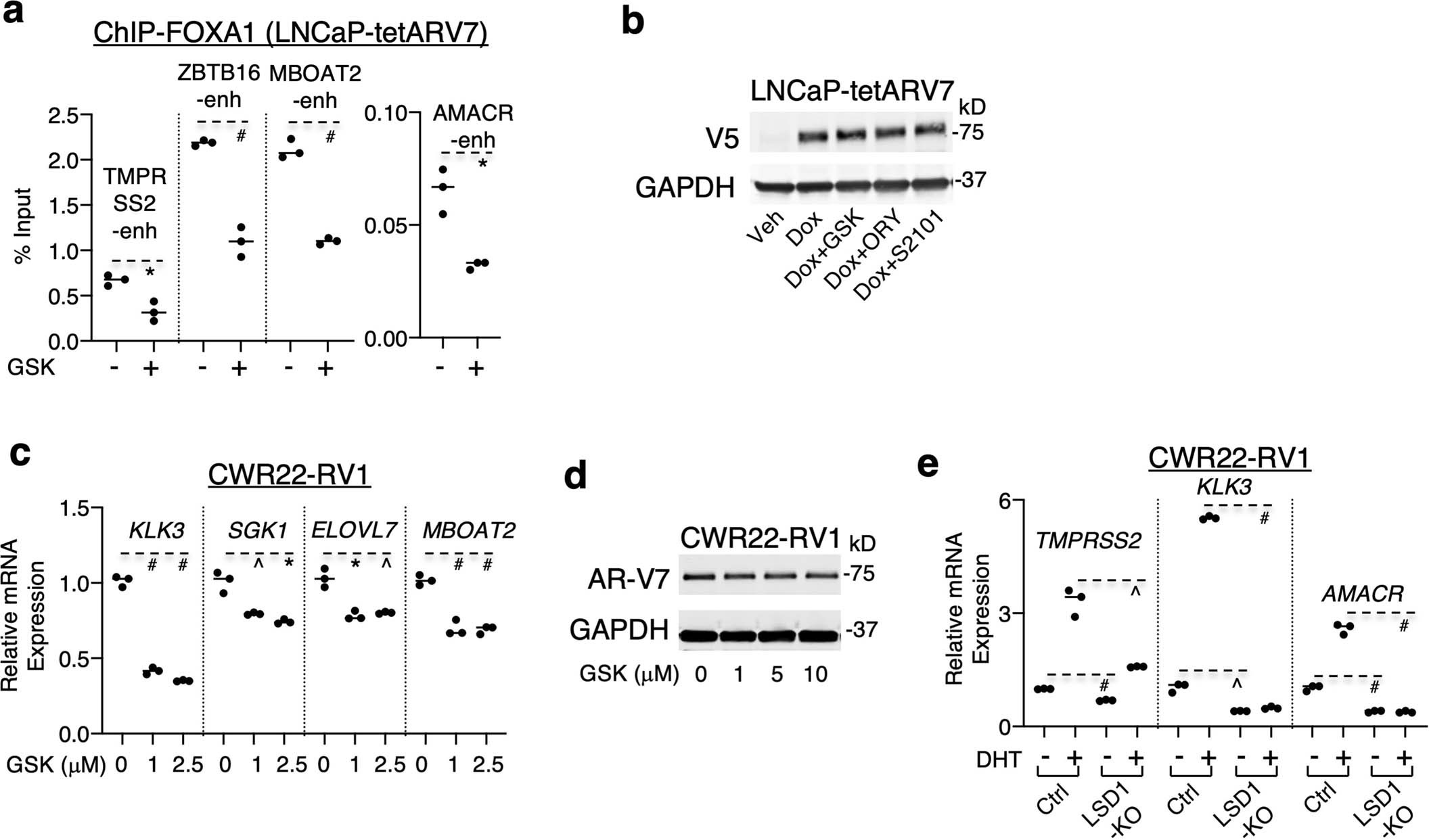 Extended Data Fig. 5: LSD1 enhances AR-V7 chromatin binding and activity.
