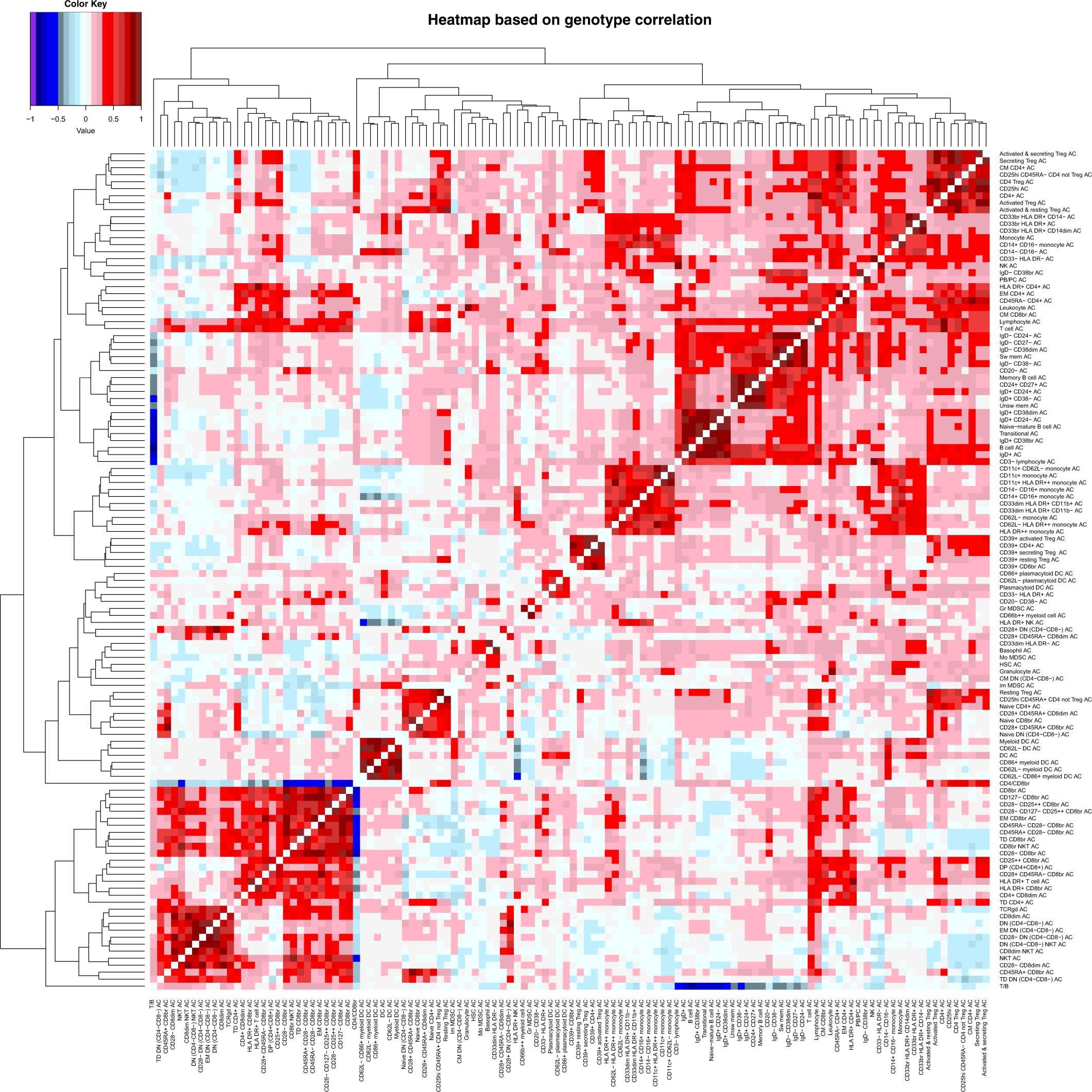 Extended Data Fig. 6: Genetic correlation among absolute cell counts.