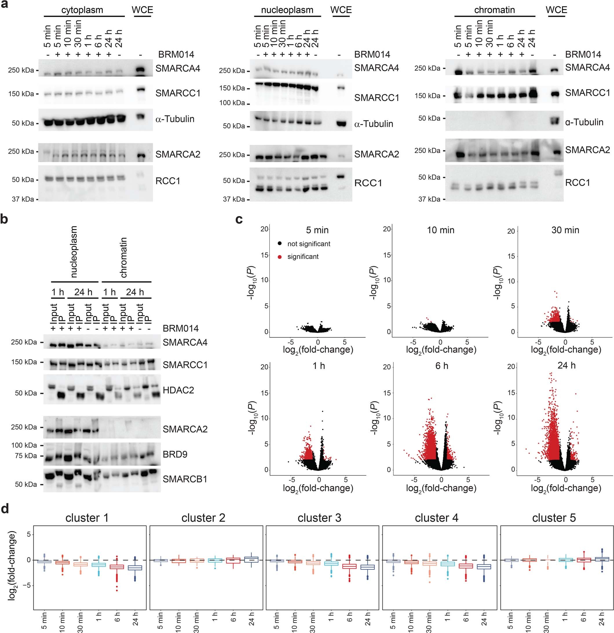 Extended Data Fig. 5