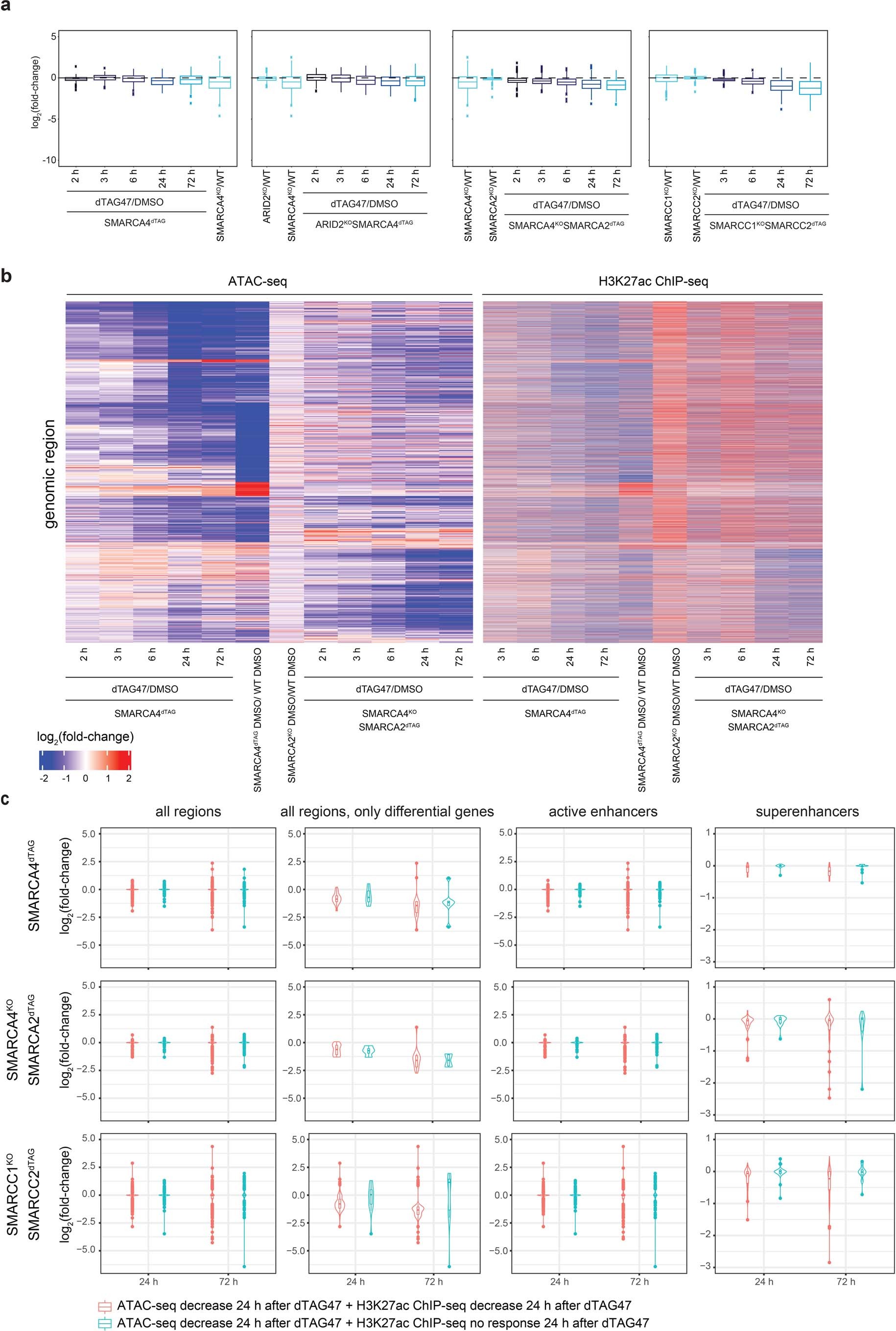 Extended Data Fig. 10: Chromatin and gene-expression alterations after loss of chromatin accessibility at superenhancers.