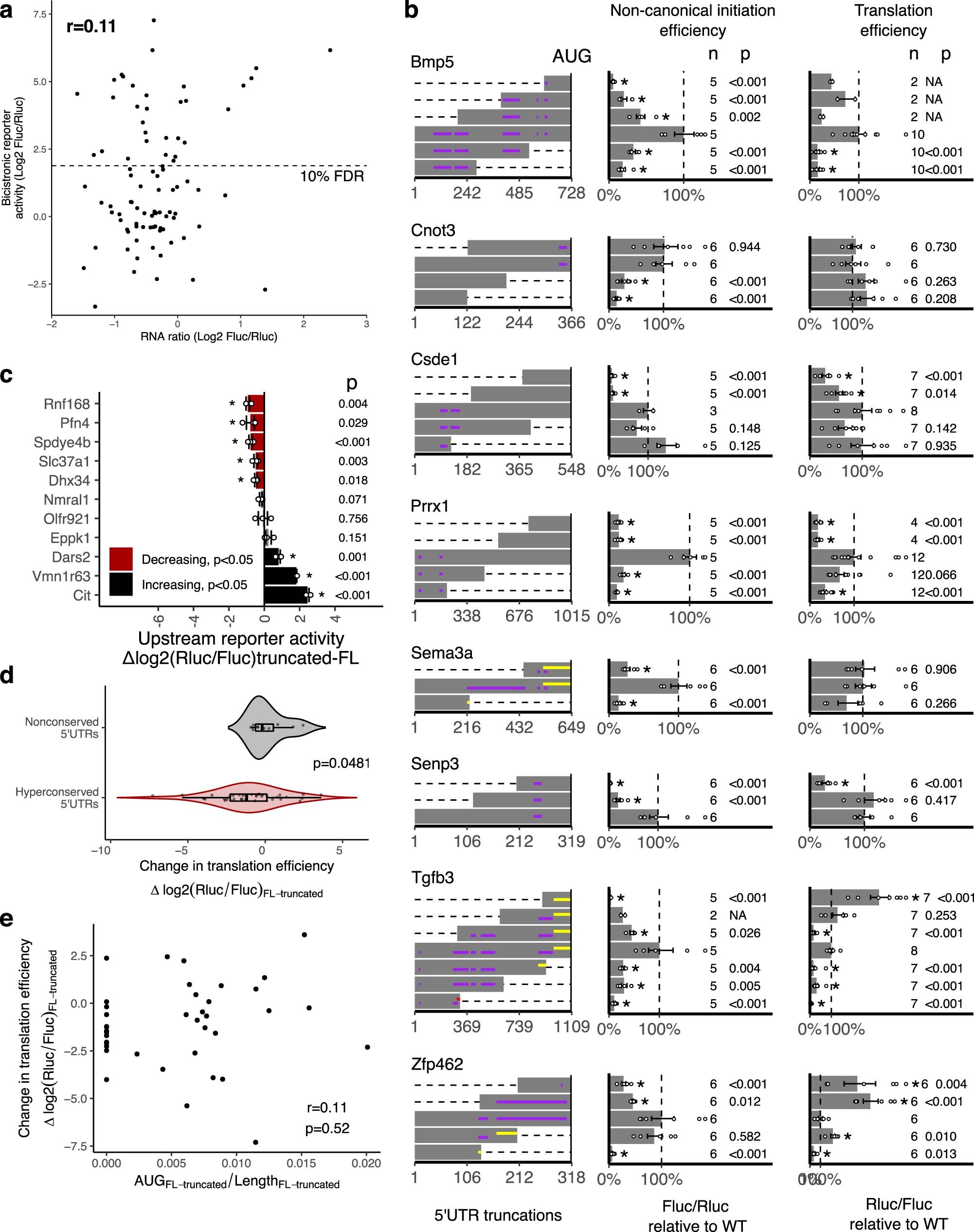Extended Data Fig. 3: Non-canonical activation by hyperconserved 5’UTRs substantially contributes to translation.