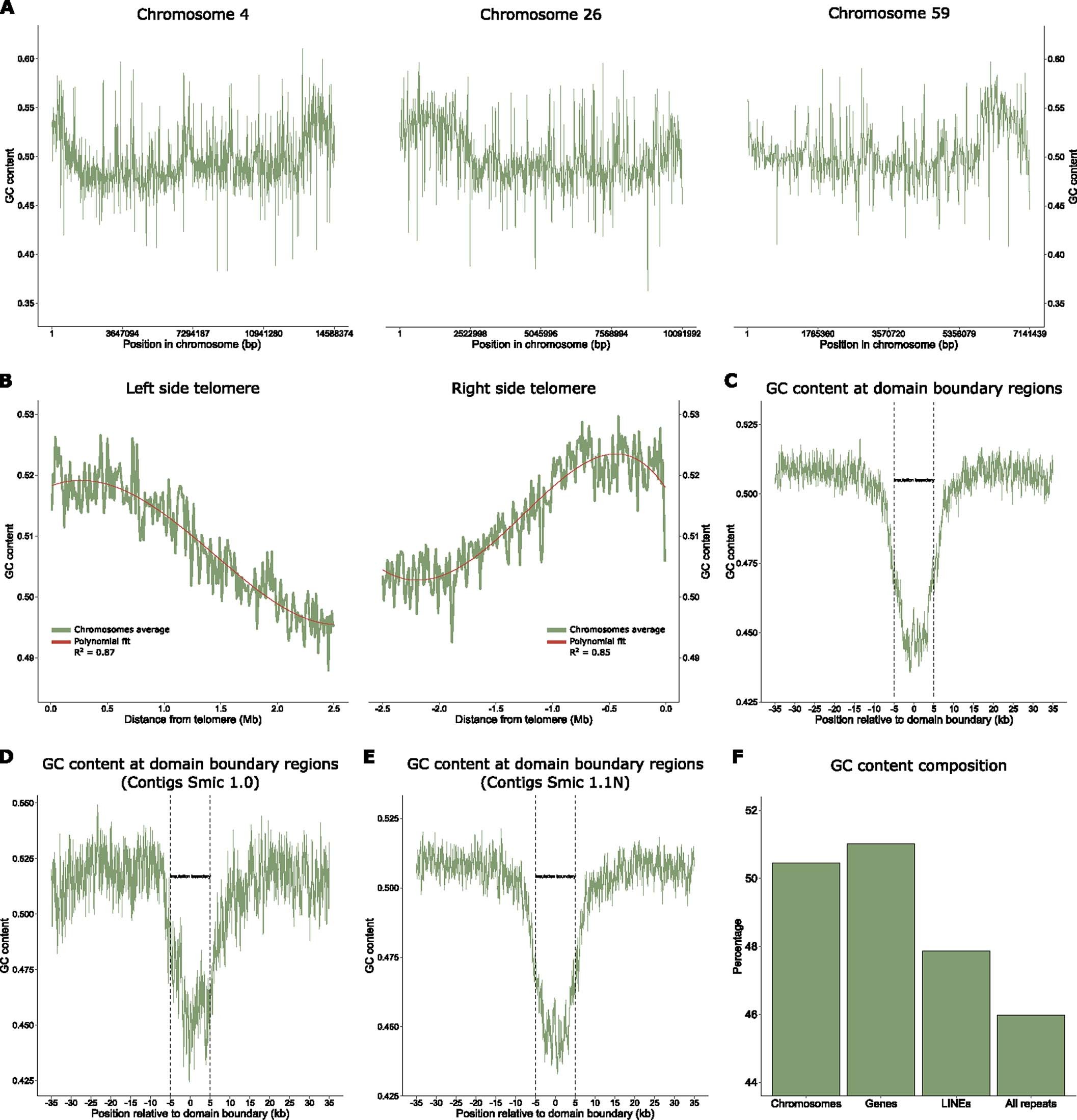 Extended Data Fig. 4: GC content along chromosomes and near telomeres for Smic1.1N, and for Hi-C domain boundaries for Smic1.0 and Smic1.1N.