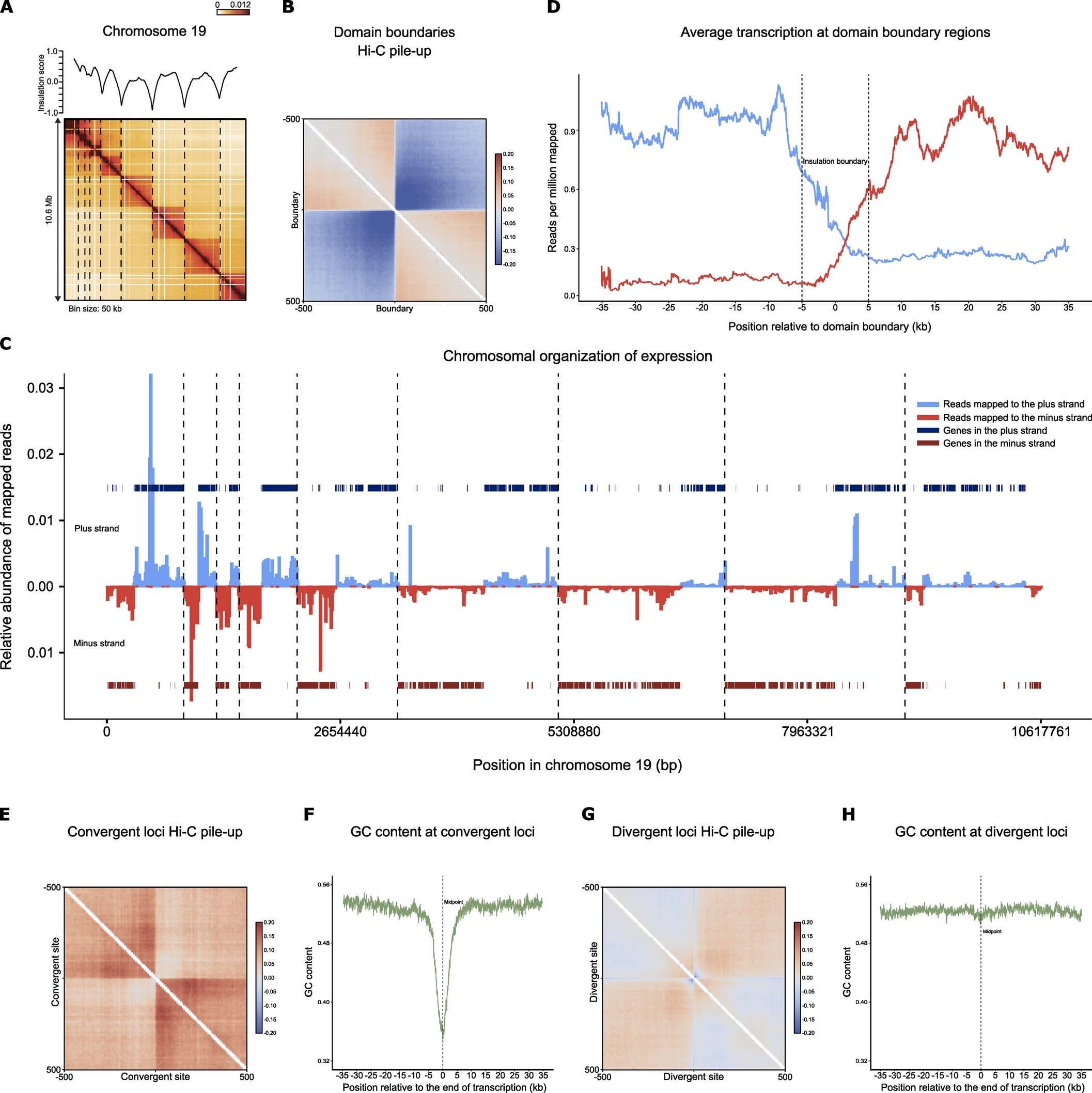 Extended Data Fig. 7: Correlation between Hi-C domains and unidirectional gene blocks for Smic1.1N.