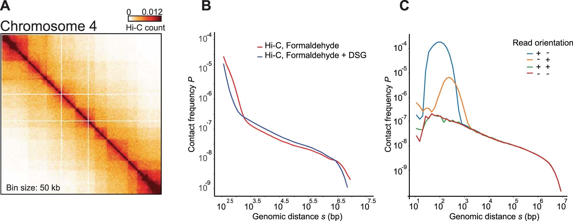 Extended Data Fig. 9: More extensive crosslinking does not greatly alter Hi-C maps and chromatin interaction frequencies.