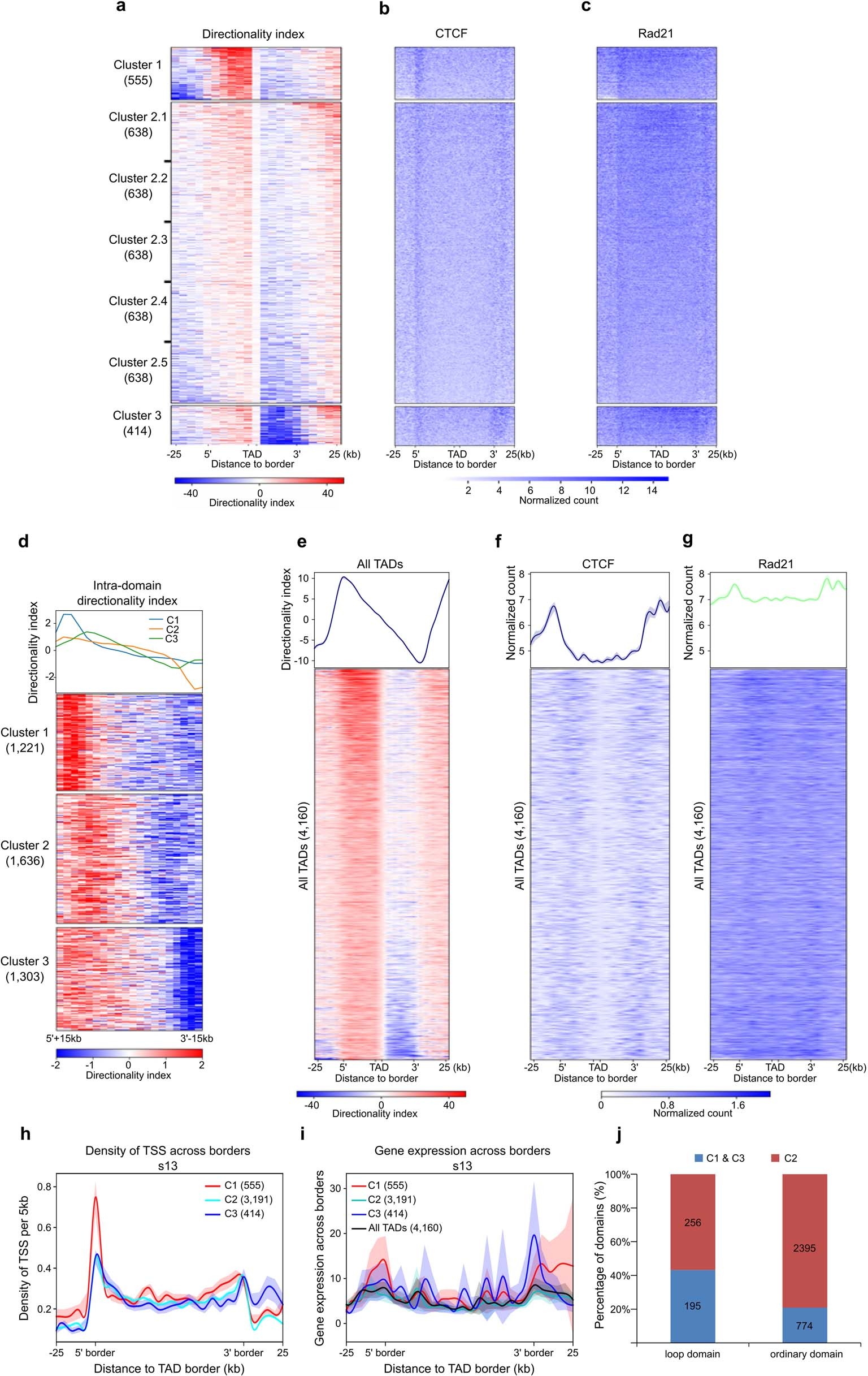 Extended Data Fig. 5: Orientation-biased CTCF and Rad21 enrichment at TAD borders of higher directionality index values.
