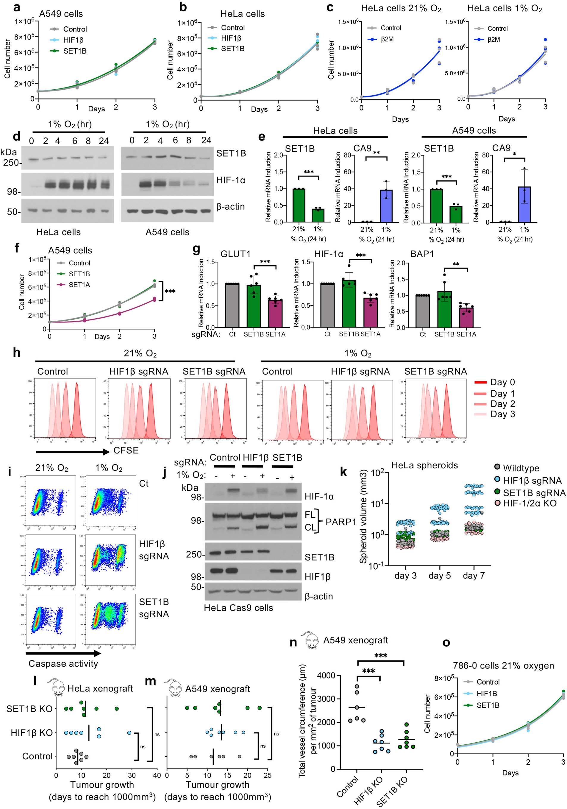 Extended Data Fig. 7