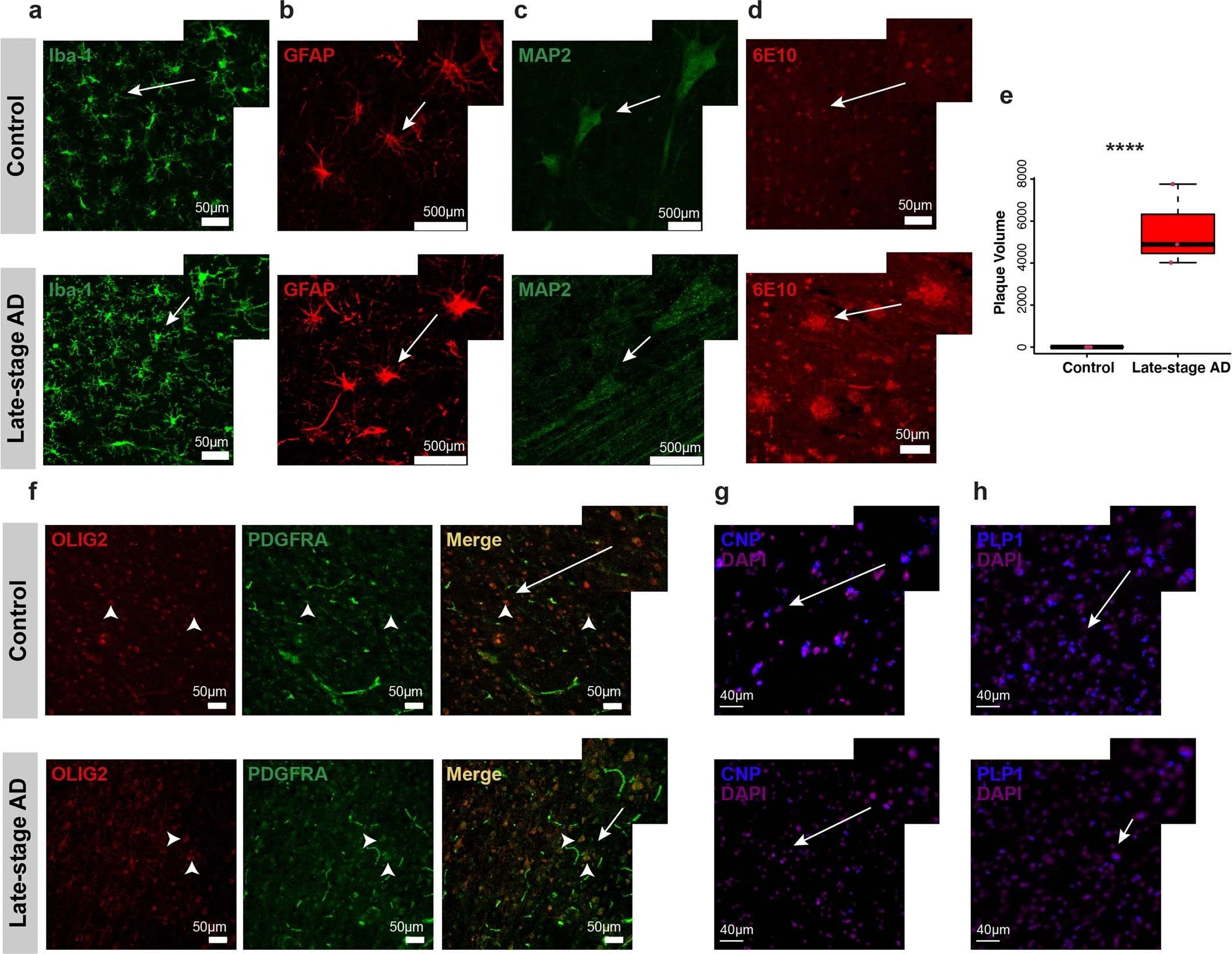 Extended Data Figure 2