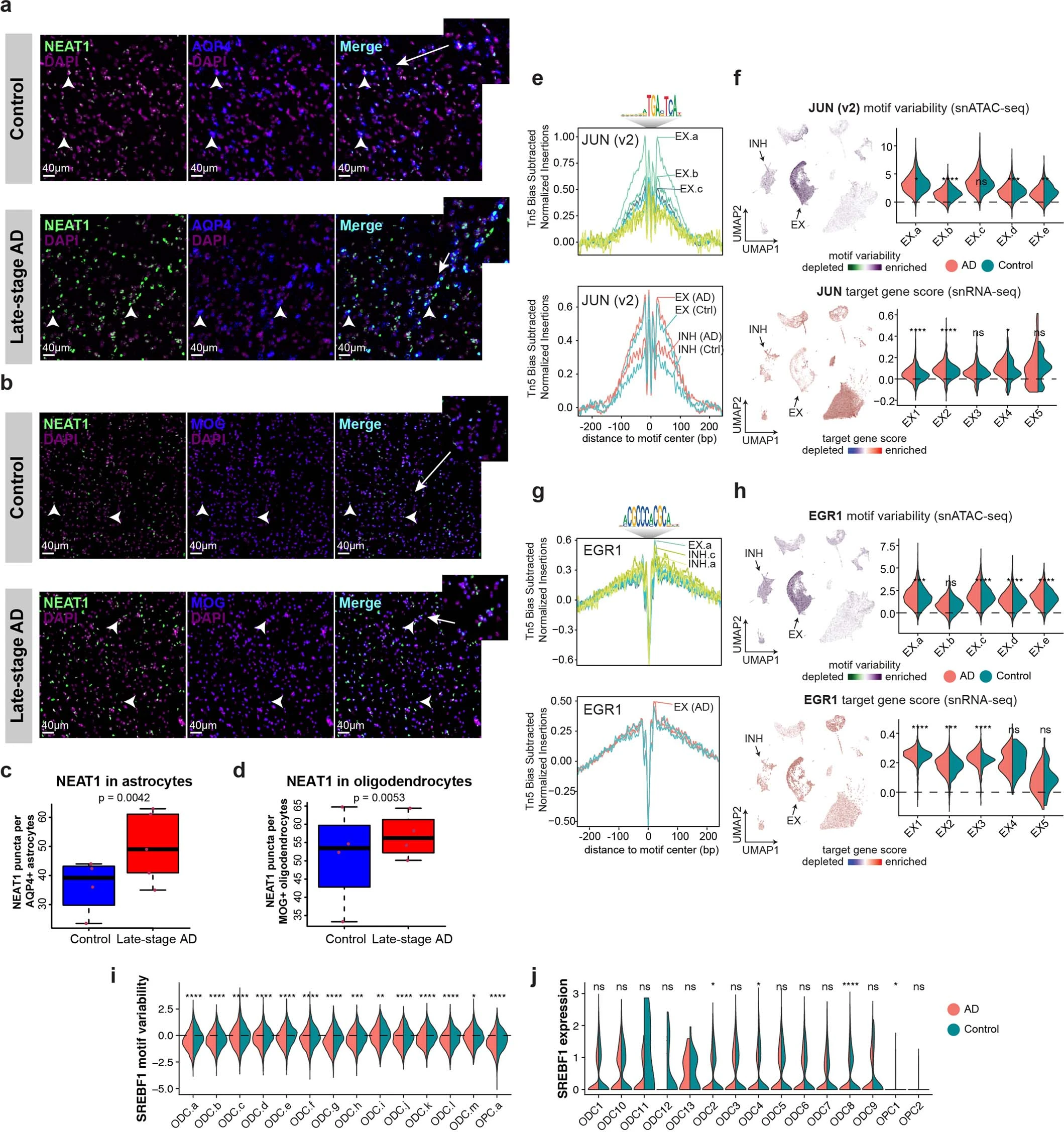 Extended Data Figure 4