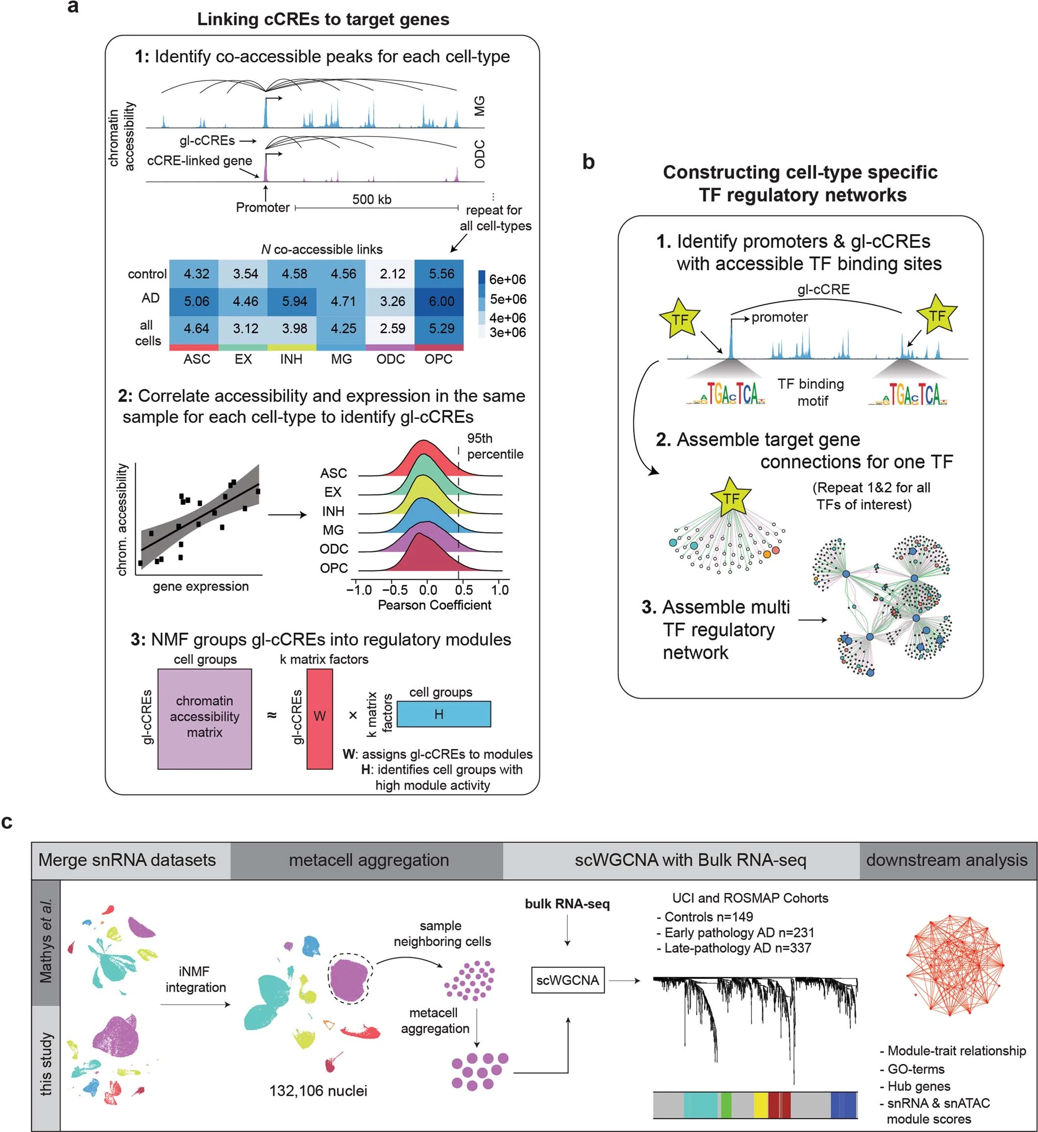 Extended Data Figure 5