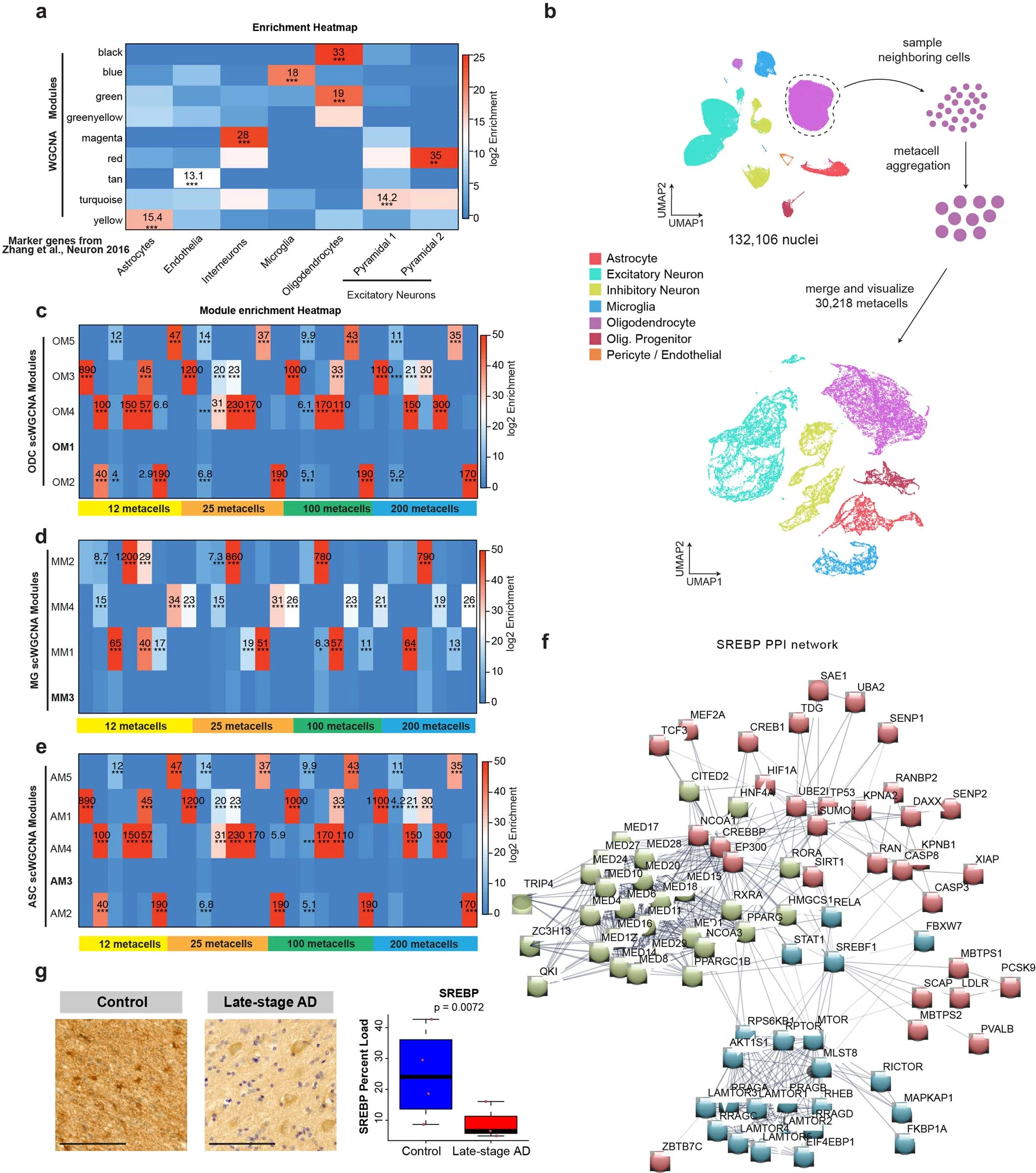 Extended Data Figure 7
