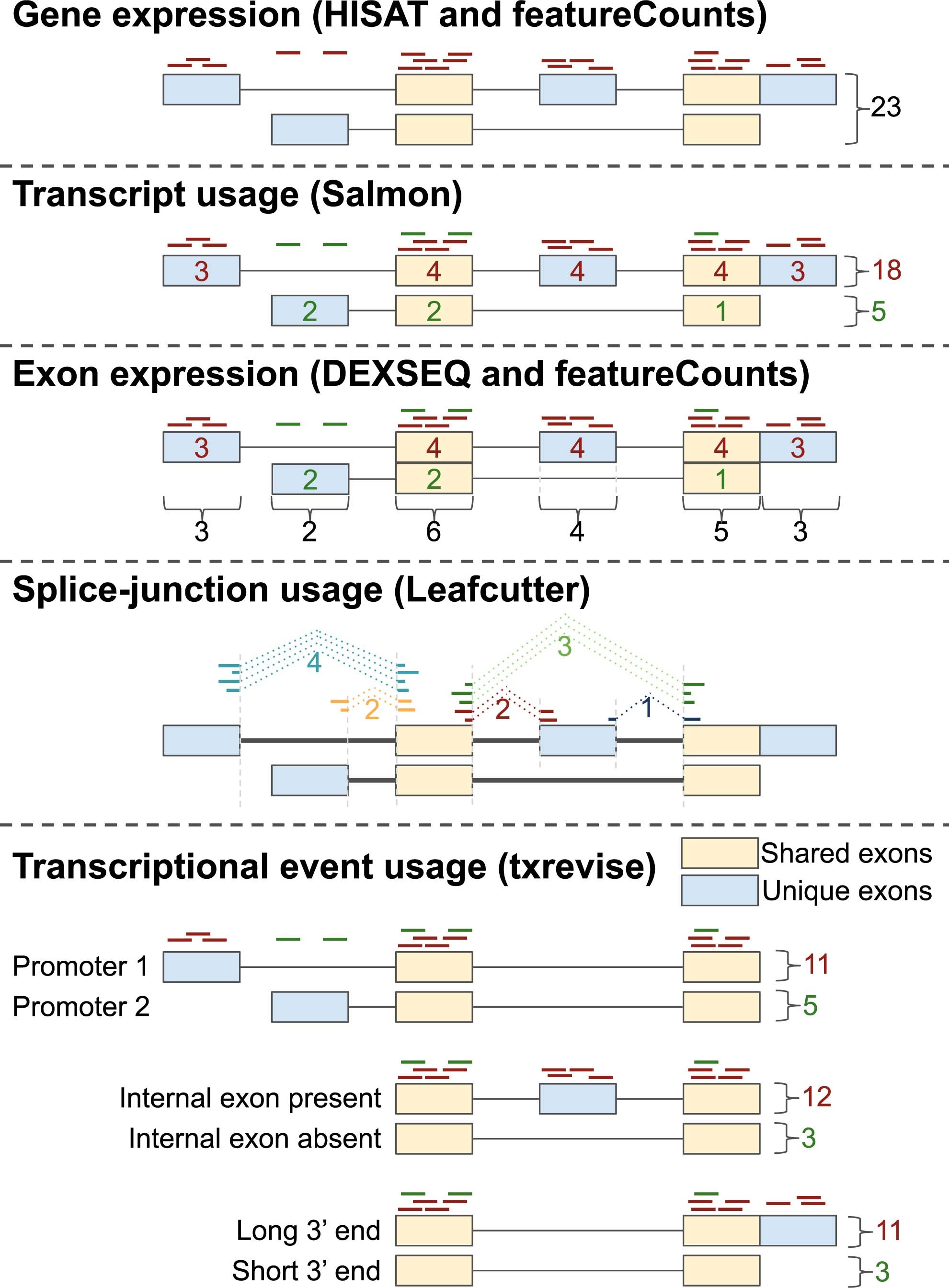 Extended Data Fig. 1: Quantification methods for molecular traits in the eQTL Catalogue.