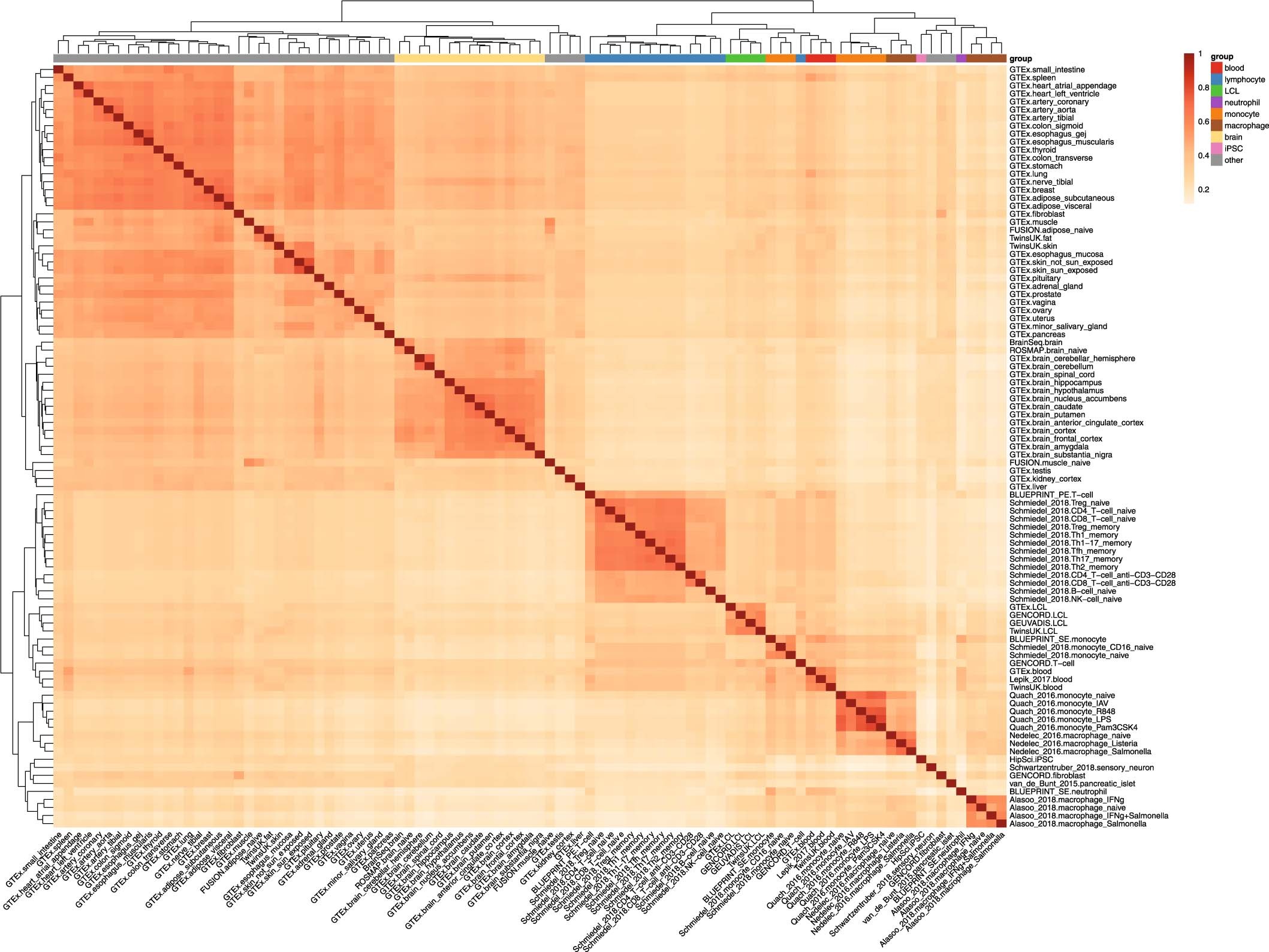 Extended Data Fig. 3: Pairwise eQTL similarity between 95 datasets estimated with Spearman correlation.