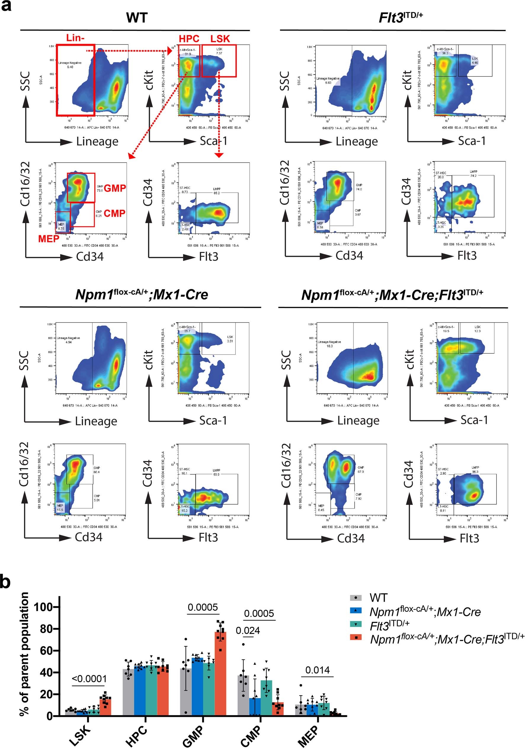 Extended Data Fig. 4: Immunophenotypic characterization of HSPCs isolated from bone marrow of wildtype and mutant mice.