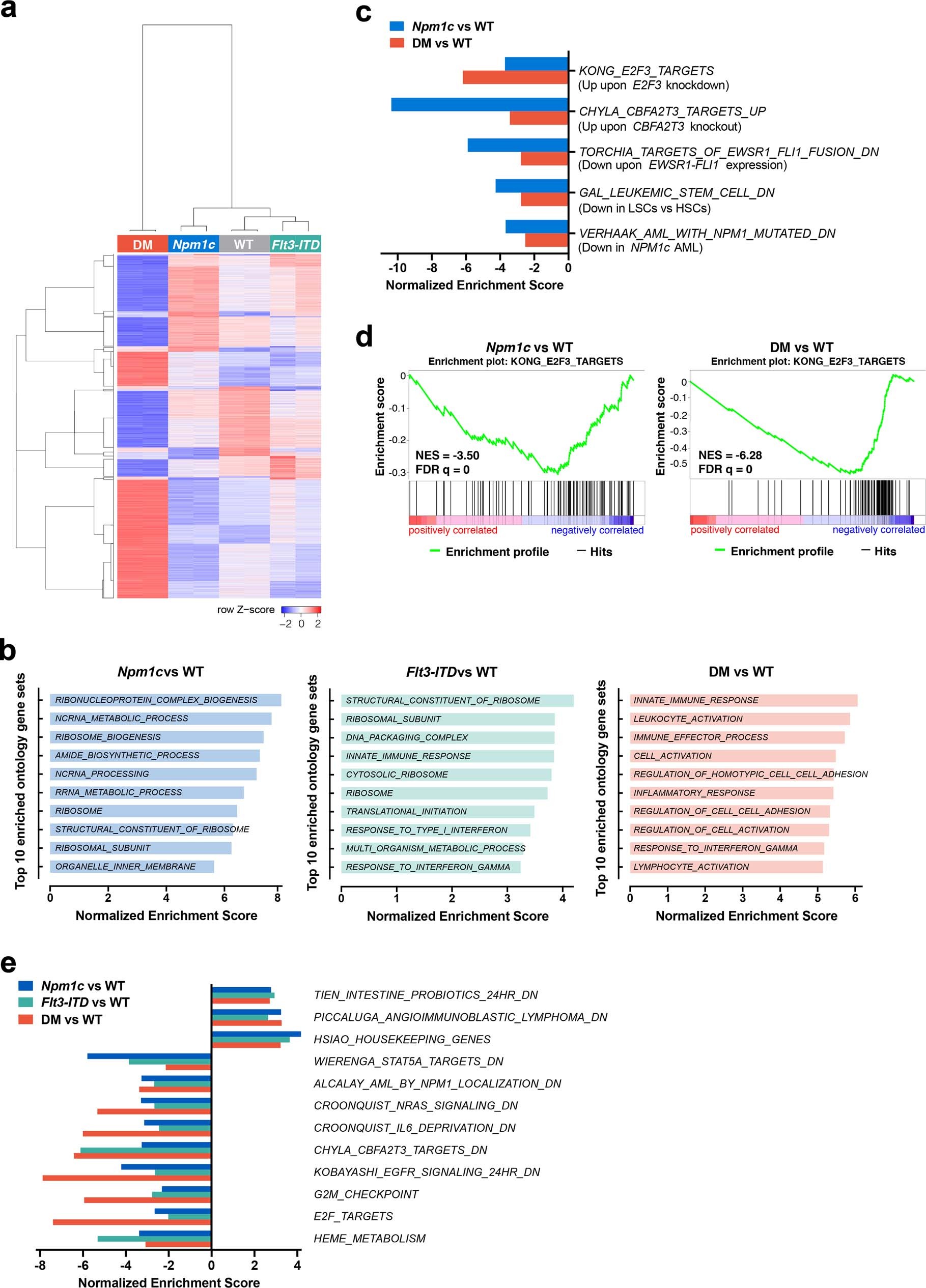 Extended Data Fig. 1: Transcriptional changes across WT and mutant HSPC.