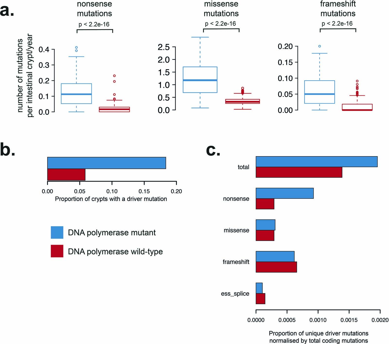 Extended Data Fig. 3: Protein coding mutations due to mutational signatures of defective DNA polymerases.
