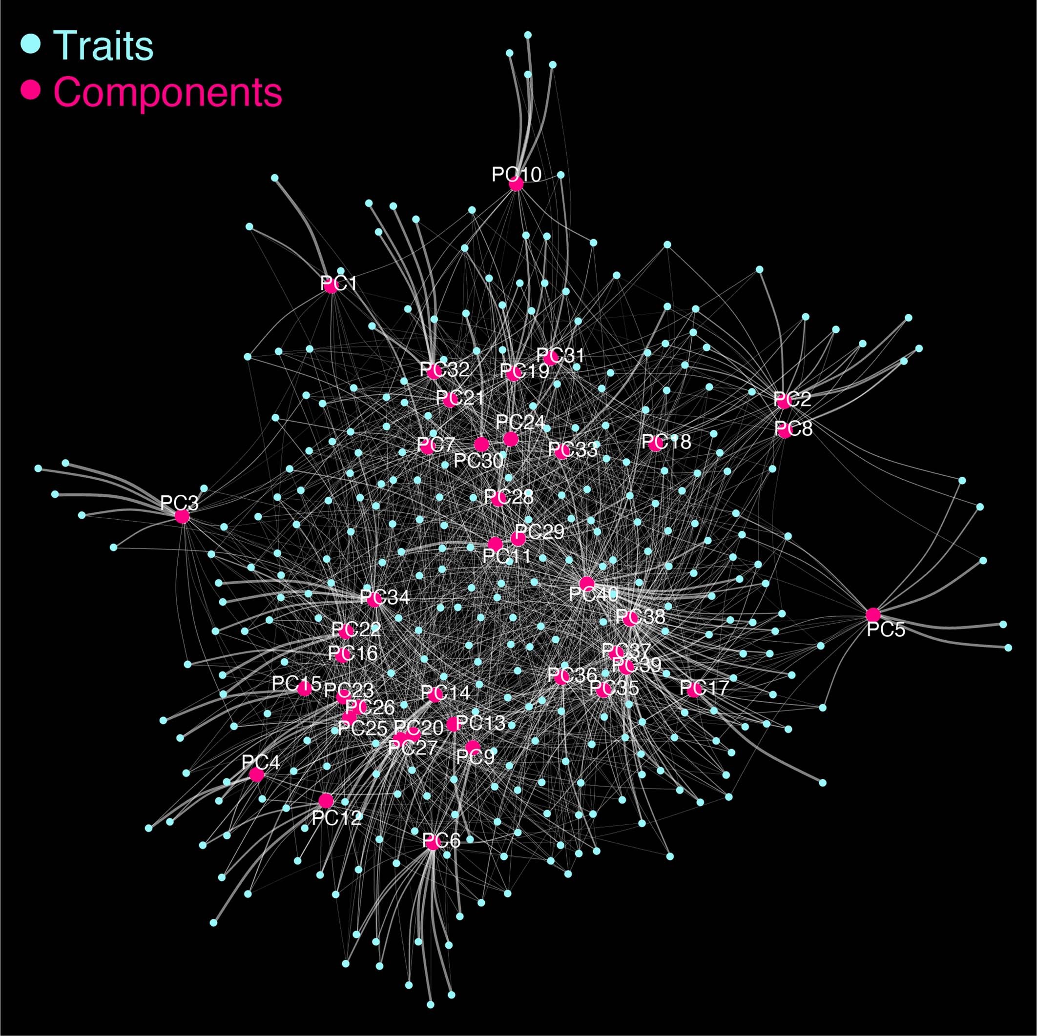 Extended Data Fig. 7: Network representation of the TSVD analysis.