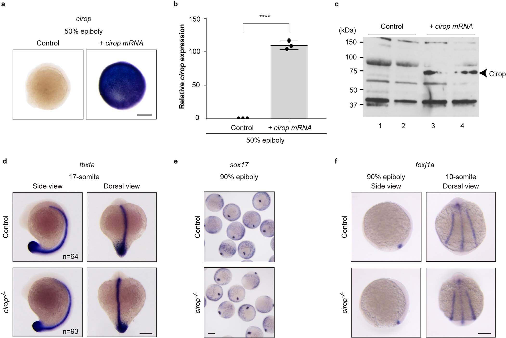 Extended Data Fig. 4
