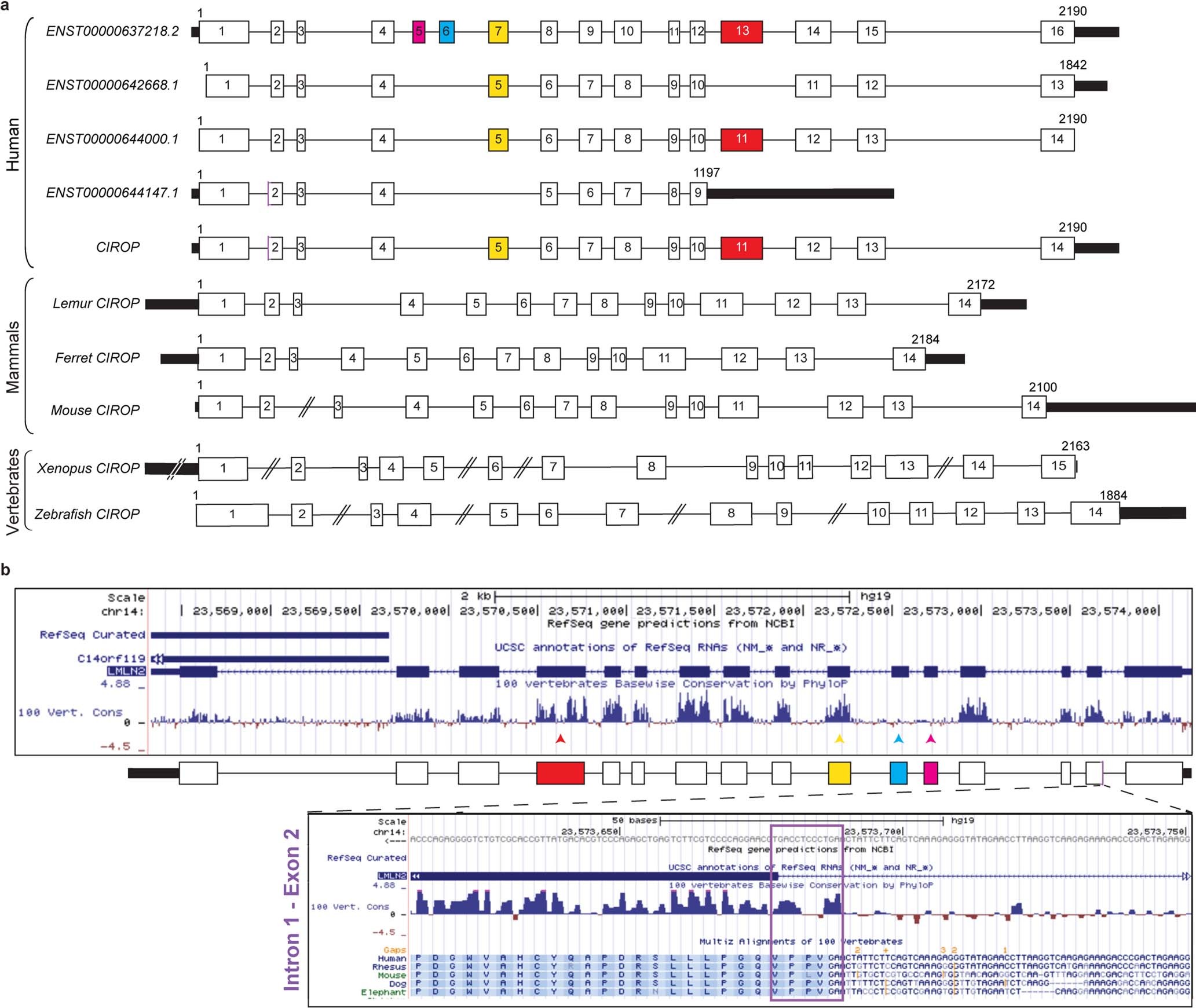 Extended Data Fig. 2