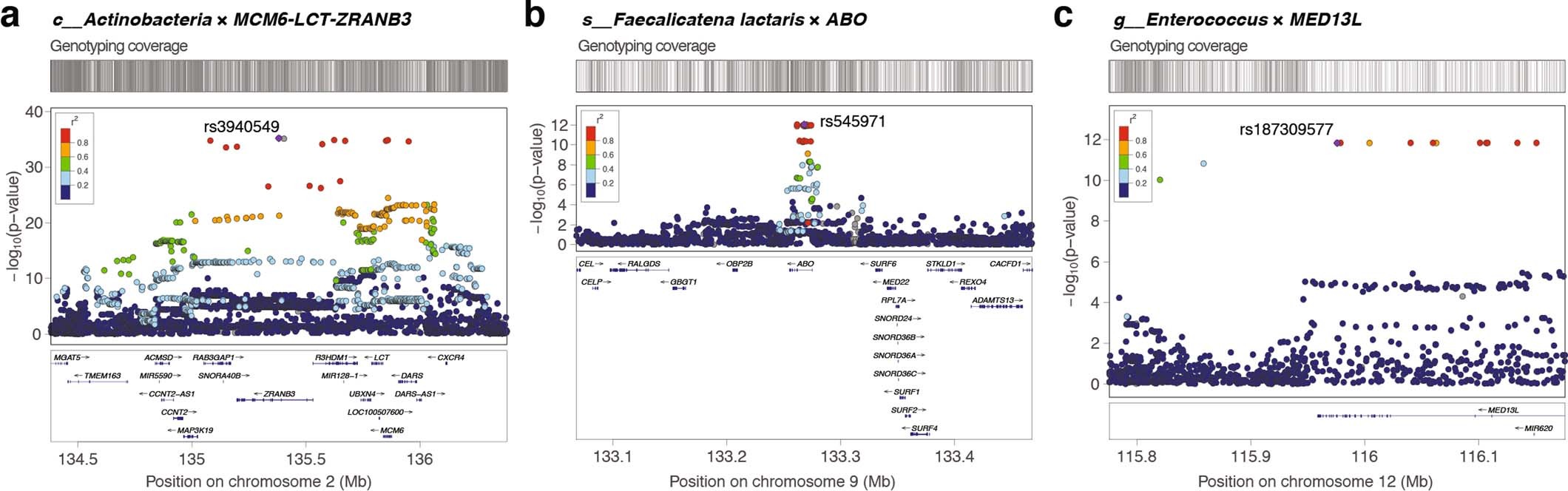 Extended Data Fig. 3: LocusZoom plots for three loci with study-wide significant associations (p < 3.8 × 10-11).