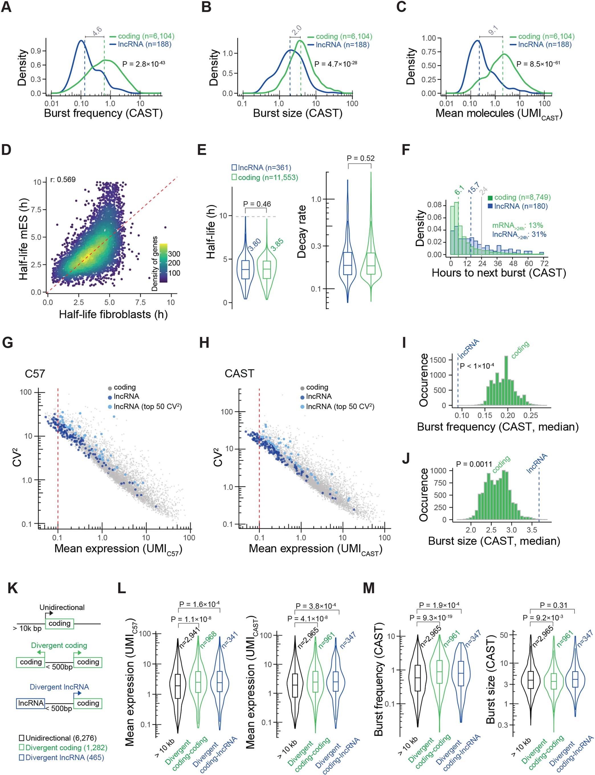 Extended Data Fig. 4: Transcriptional burst kinetics of lncRNAs and divergent promoters.