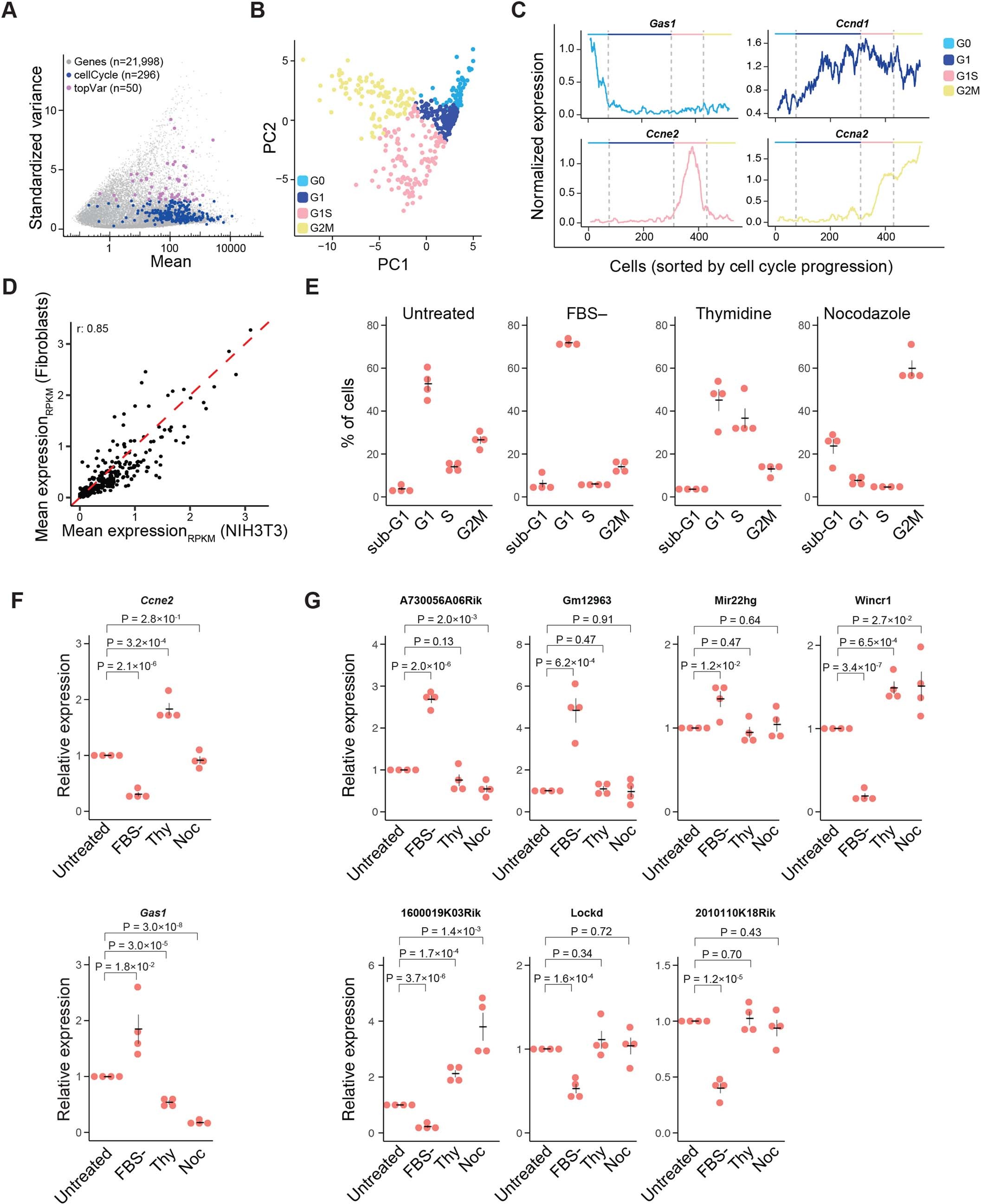 Extended Data Fig. 5: Identification of cell cycle associated lncRNAs.
