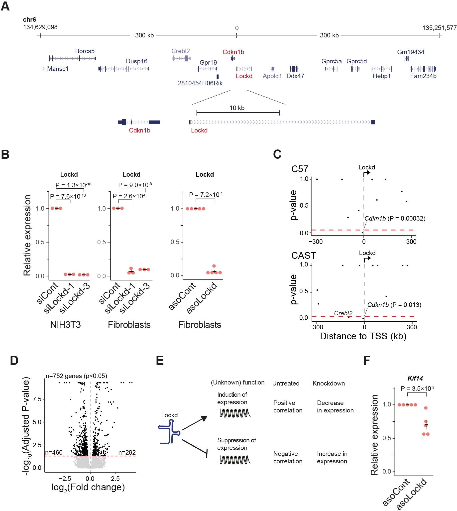 Extended Data Fig. 6: Analysis of the Lockd harboring genomic loci.