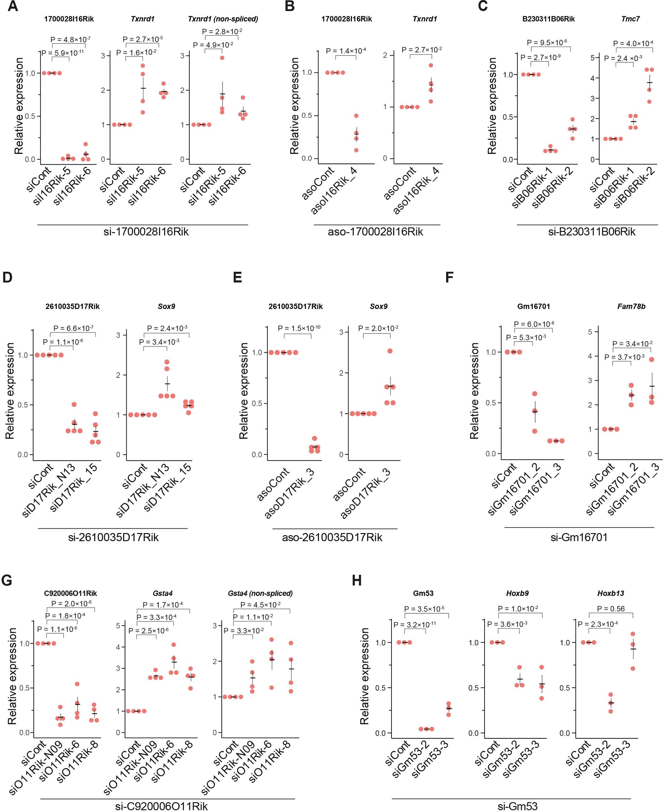 Extended Data Fig. 9: Validation experiments on lncRNA-mRNA interactions.