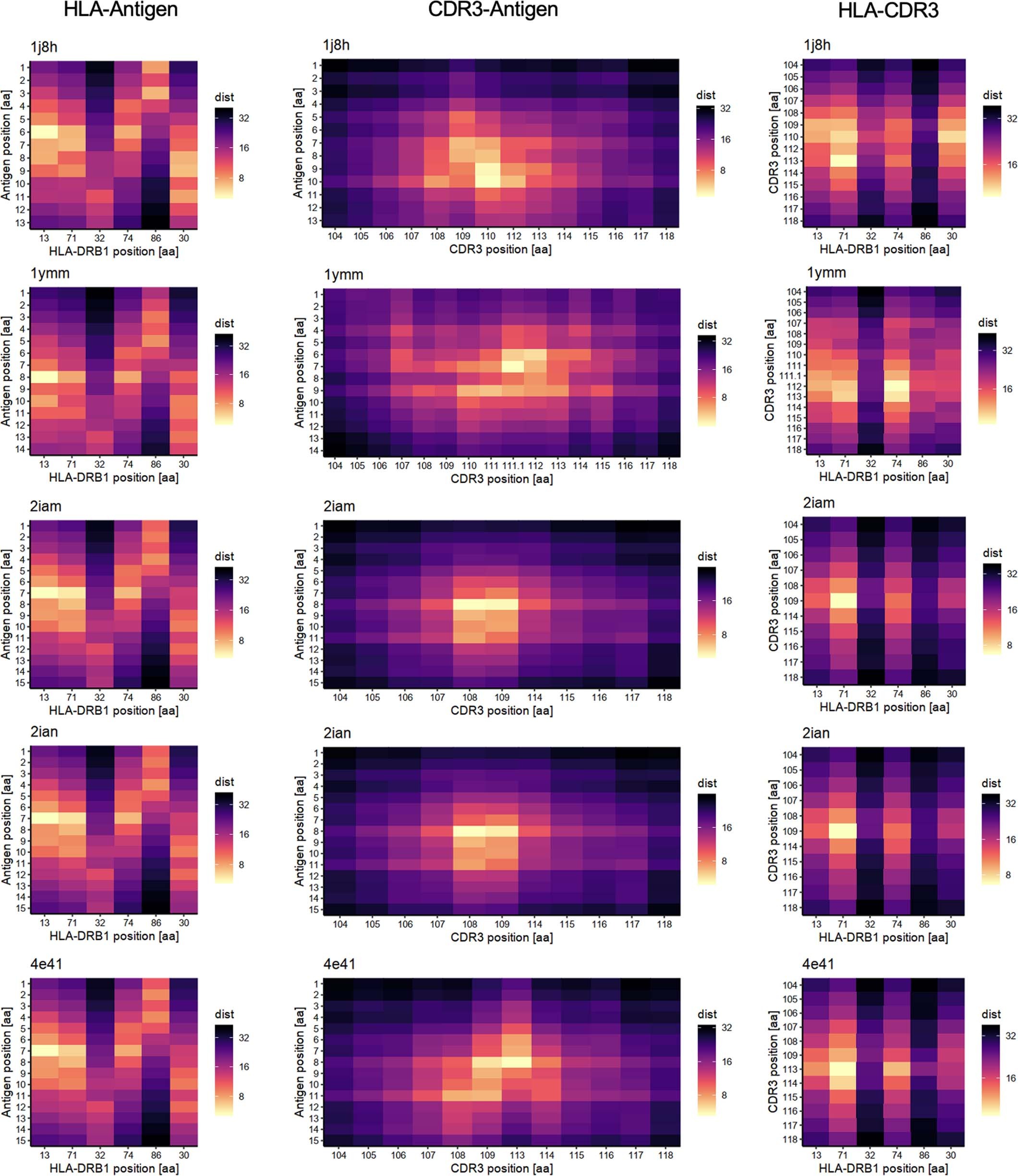 Extended Data Fig. 8: The pair-wise distances of amino acids in MHC-peptide-TCR complexes.