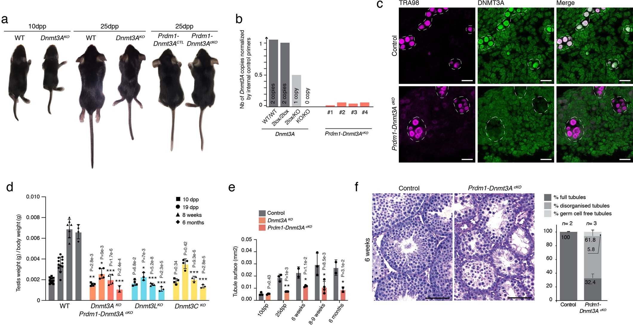 Extended Data Fig. 2