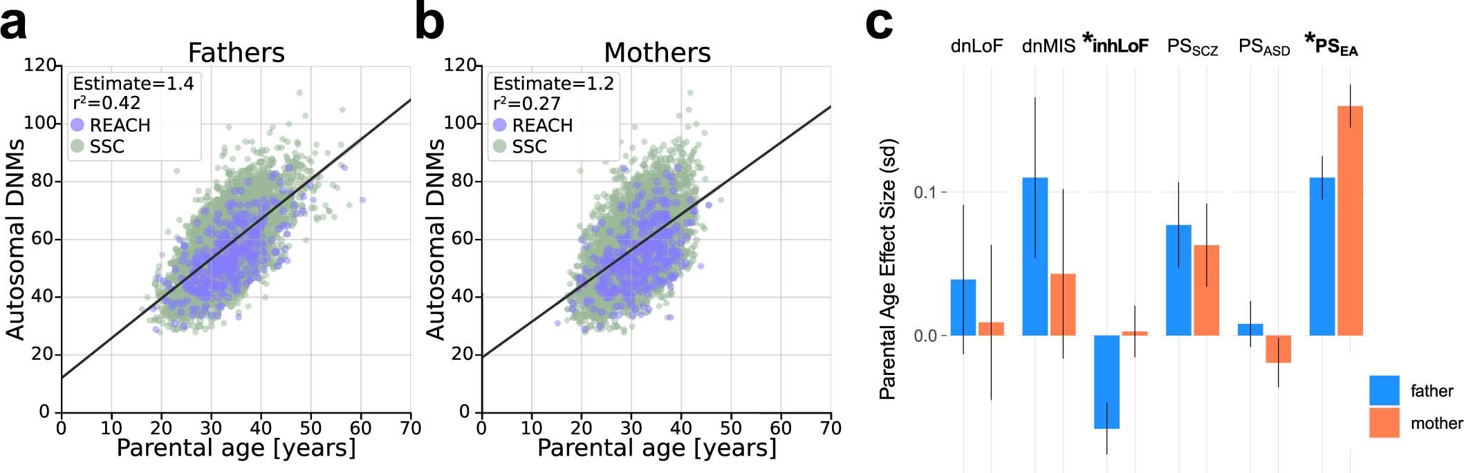 Extended Data Fig. 4: Correlation of de novo mutation rate with parental age.