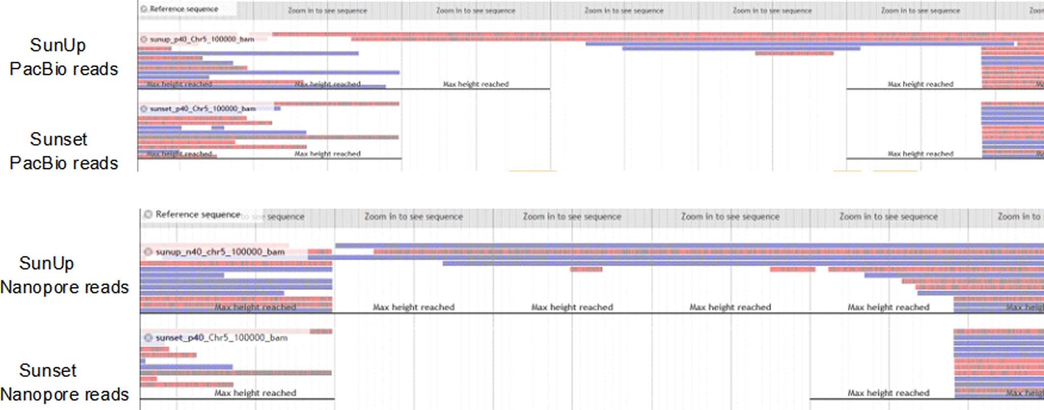 Extended Data Fig. 8: Validation of the insertion sites by PacBio and Nanopore reads in SunUp.